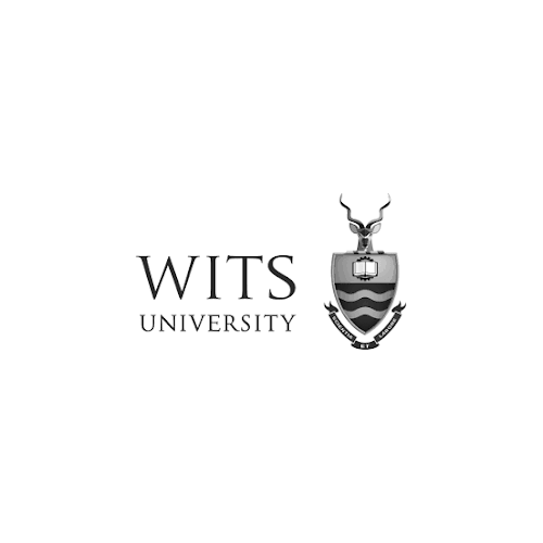 Logos_CETA Partners_Clients-1_WITS University.png