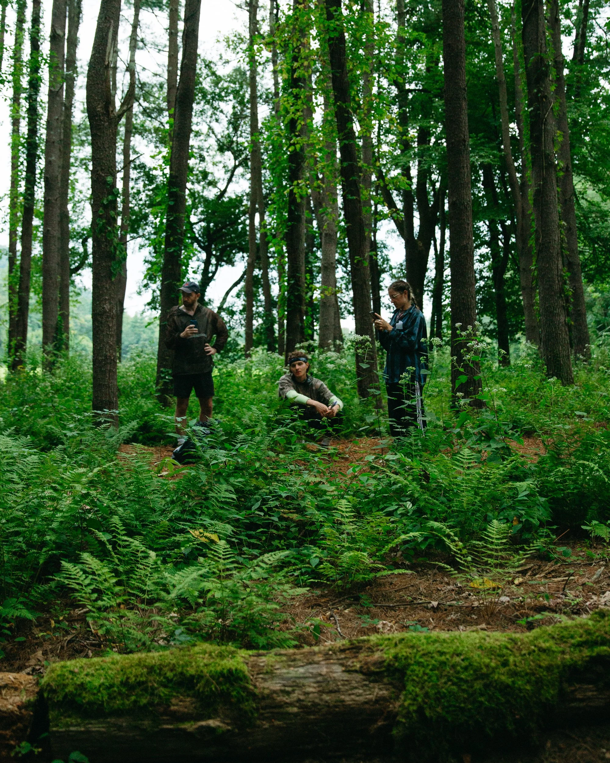 2026 Website Portfolio Colin Bazzano-7.jpg