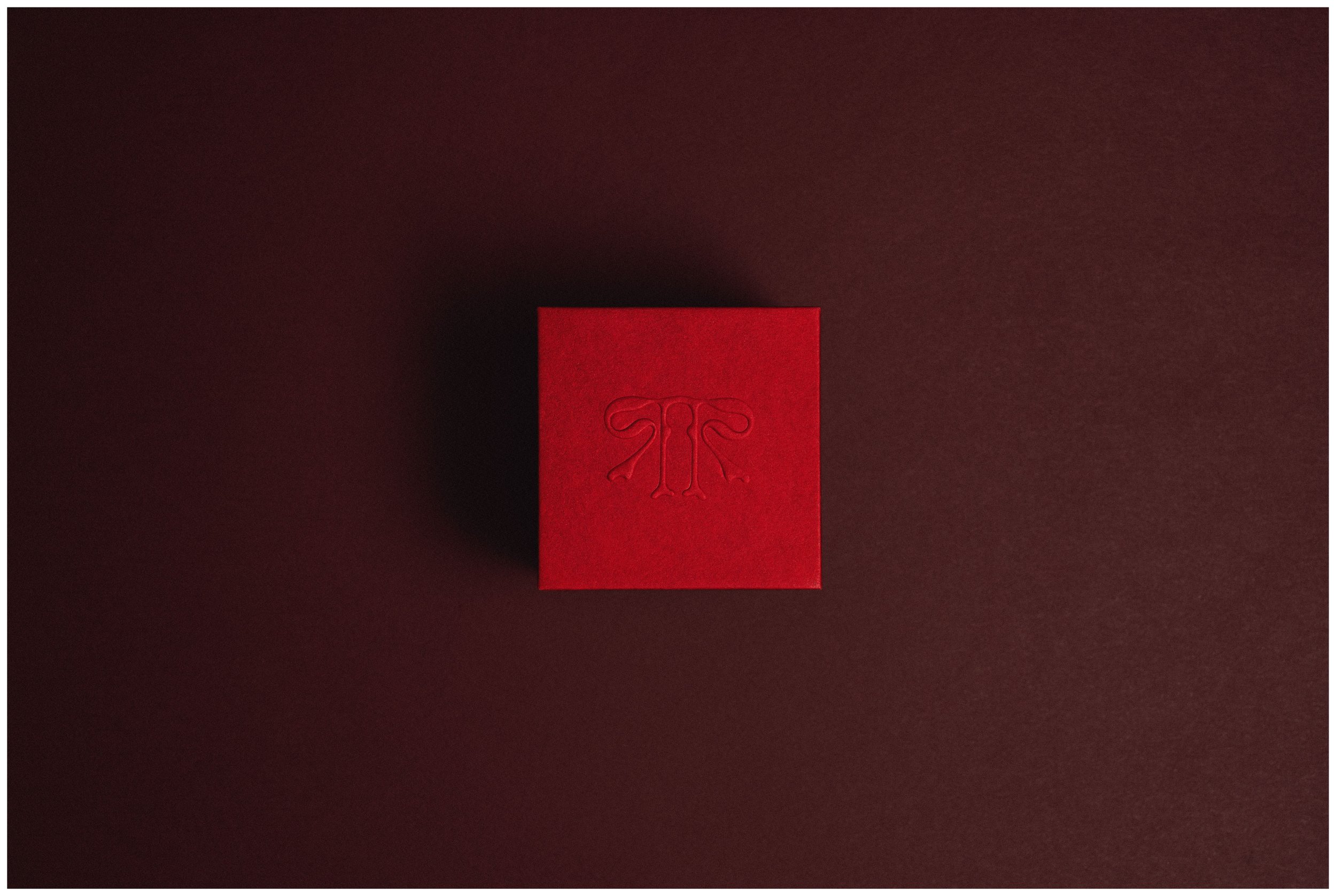 RECIA SHOOT3815 edit.jpg