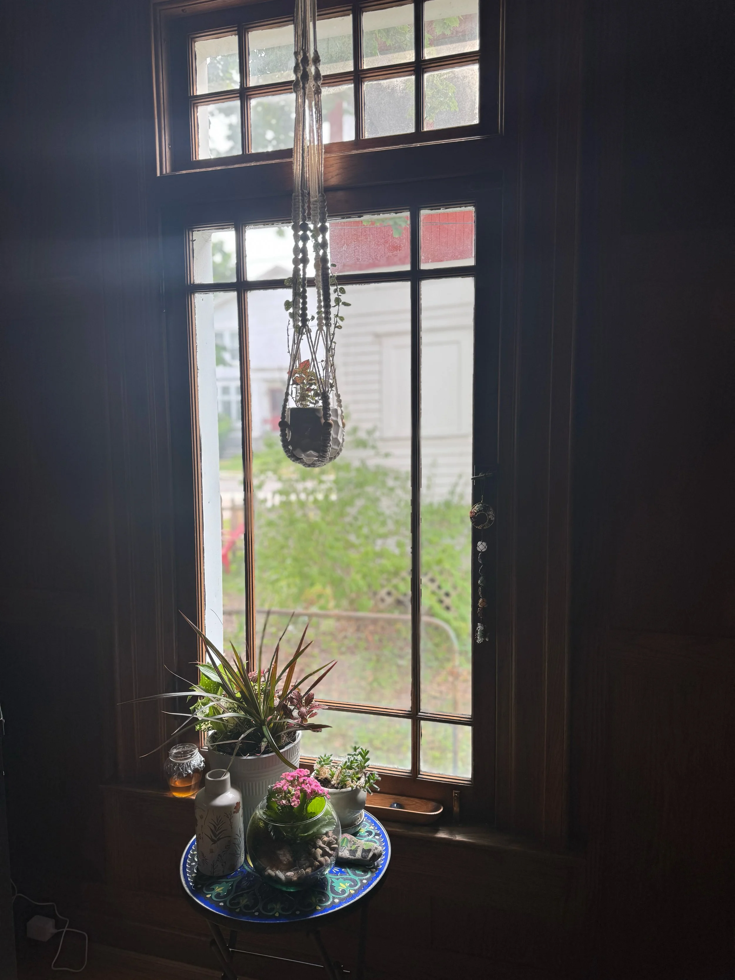 Indoor view of a window with a hanging macramé plant holder, and a small table with potted plants and a jar of honey, looking out onto a yard with greenery and neighboring houses.