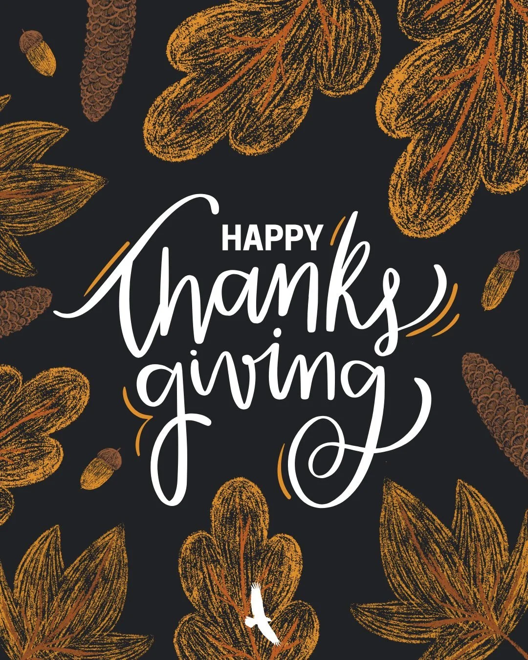 Happy Thanksgiving! Wishing you a day filled with rest, connection, and gratitude. May it remind you of the goodness around you and within you.