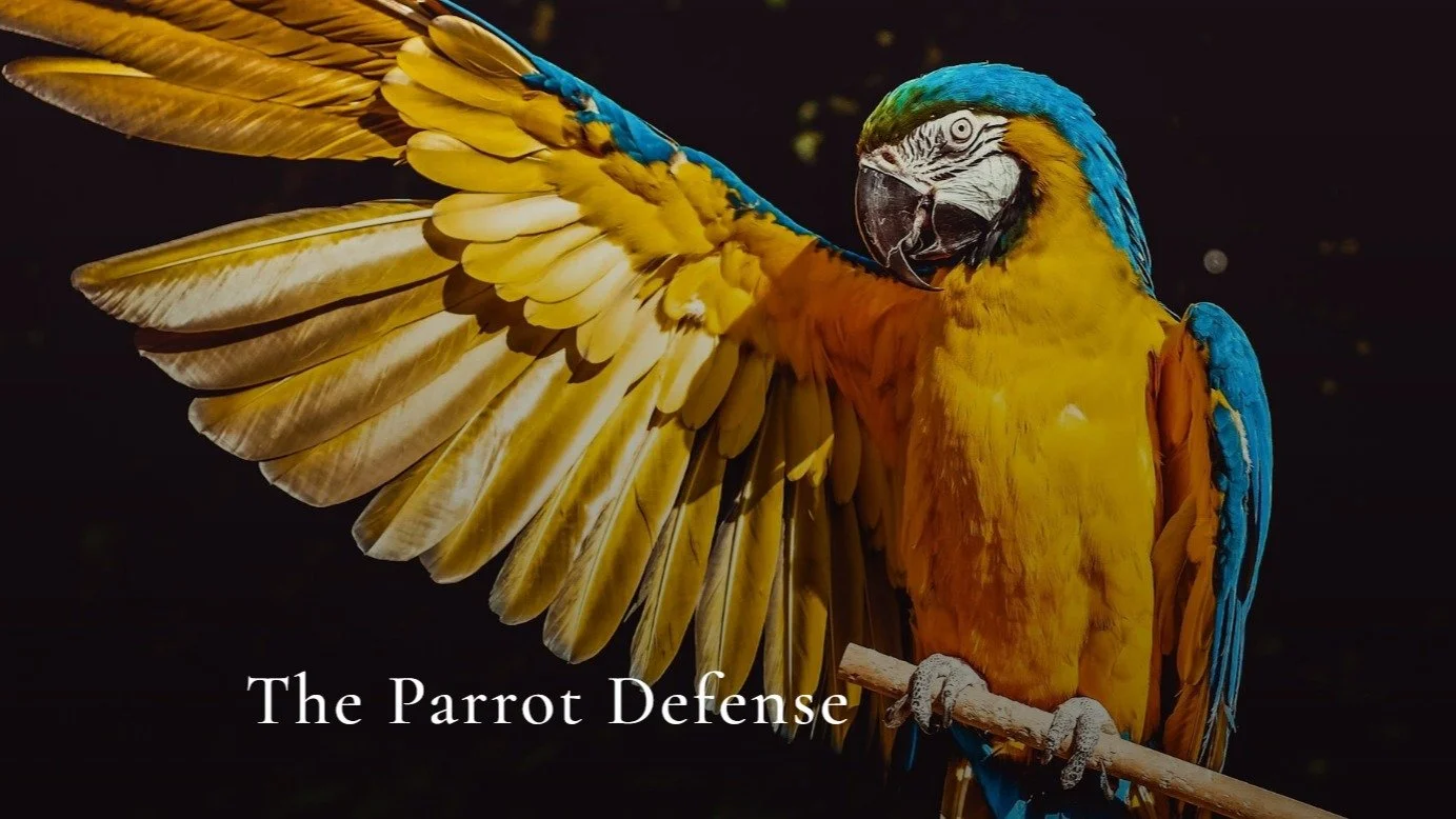 Learn how People Loving Parrots can deepen their relationships by shifting from performance and avoidance to authenticity, presence, and emotional connection in the latest "Larry's Little Moments". 
	
Subscribe to get it to your own inbox e