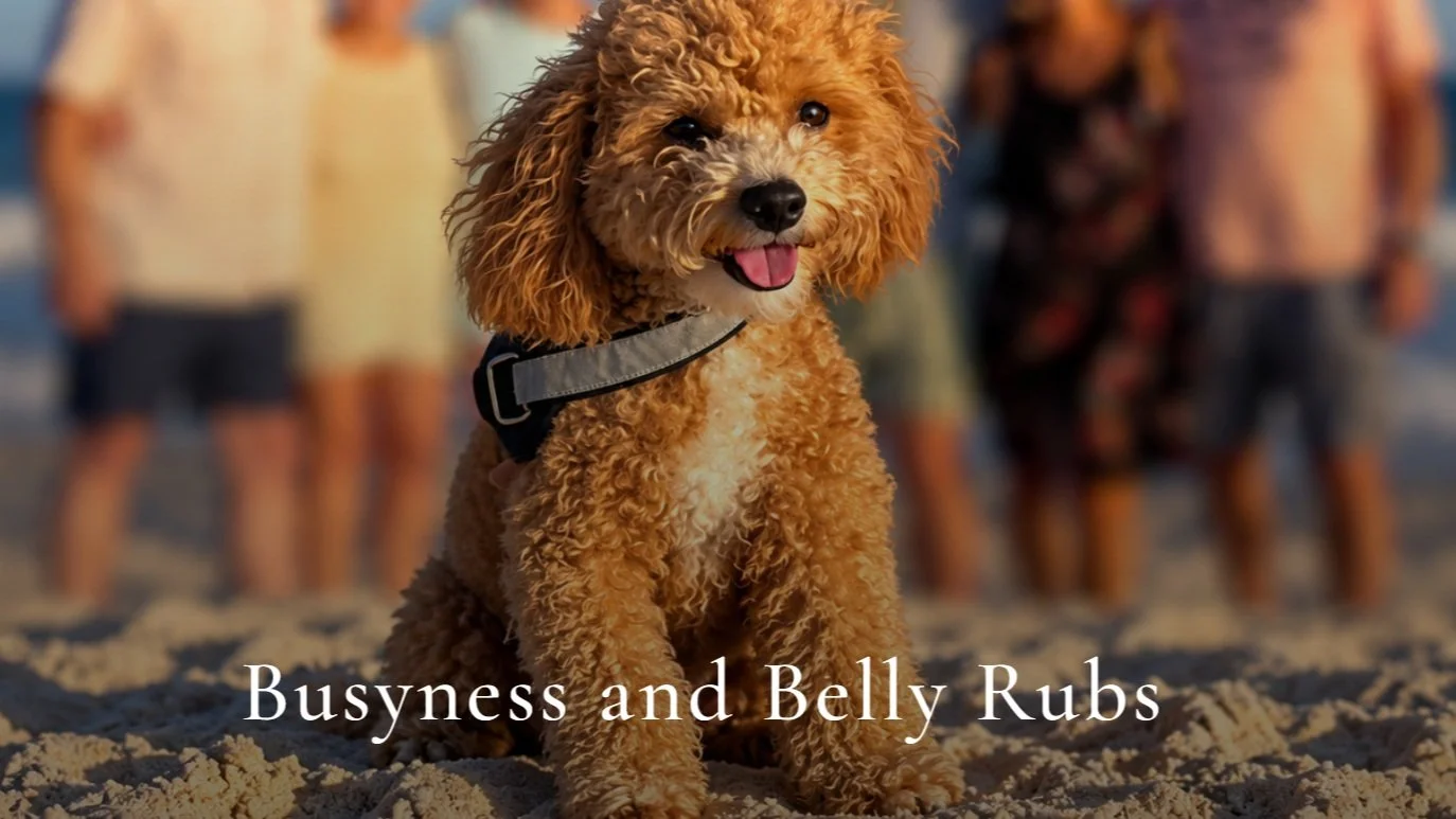 Learn how to strengthen your relationships by shifting from leftover time to protected time&mdash;putting down the distractions, being fully present, and intentionally making space for the people who matter most in the latest "Larry's Little Mom