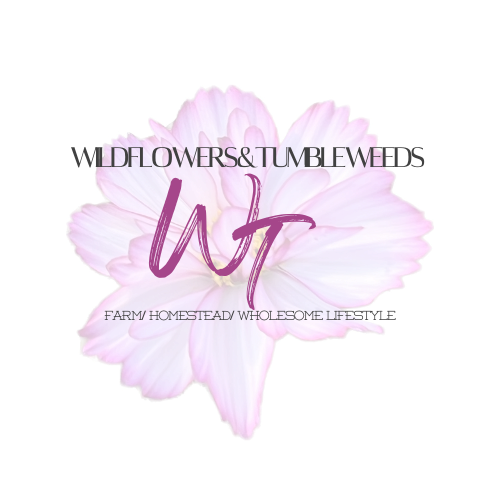 Wildflowers and Tumbleweeds