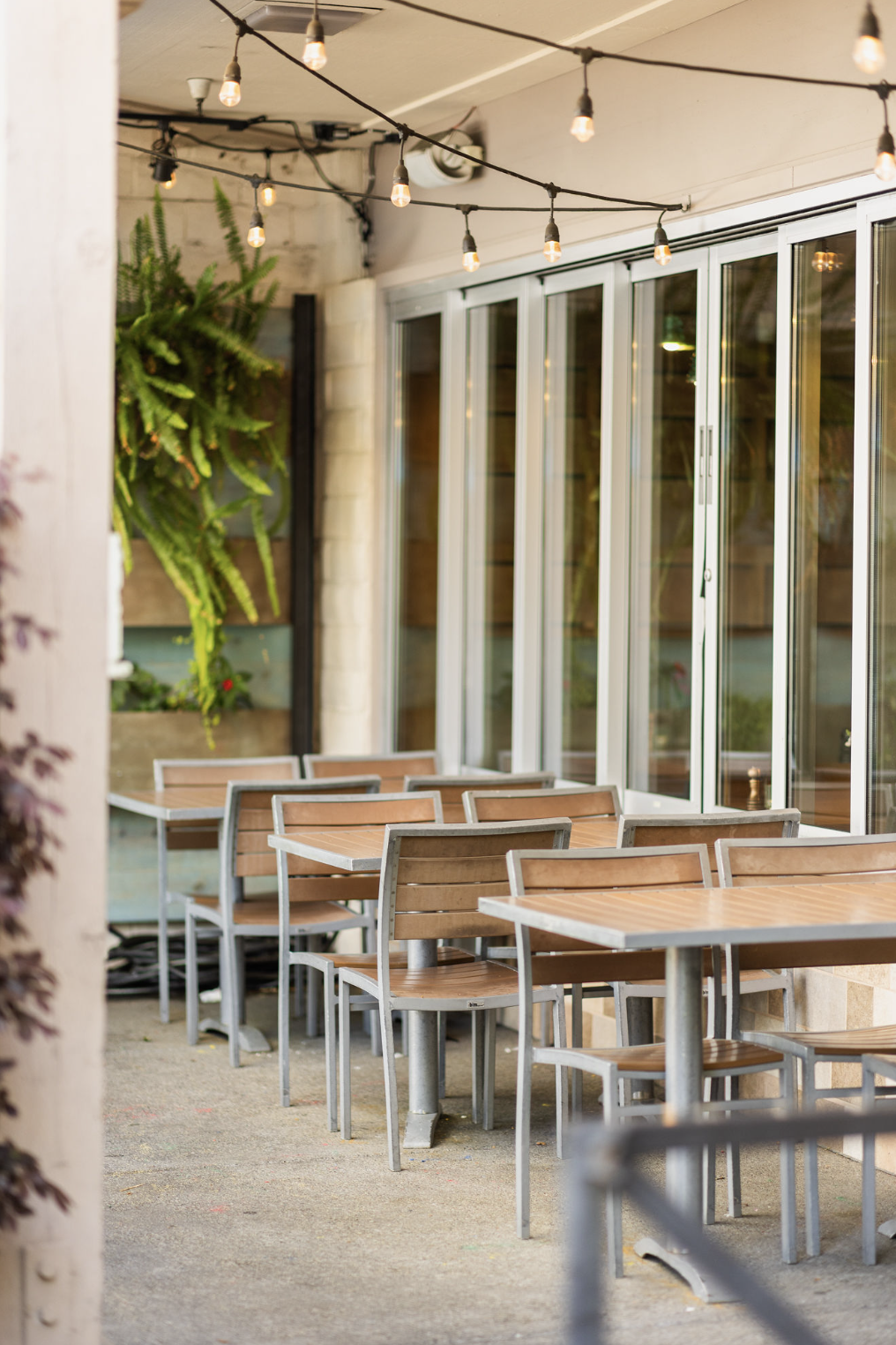 Screenshot 2026-04-09 at 3.29.41 PM.png