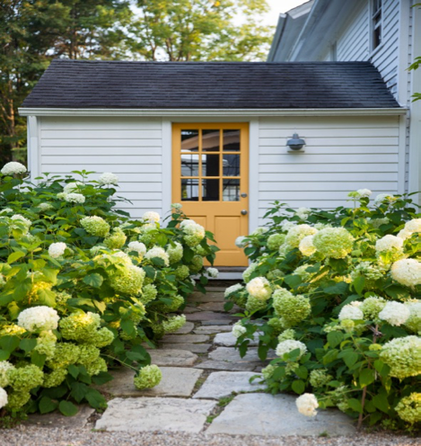 Front_Door_painted_with_Aura_Grand_Entrance_Satin.png