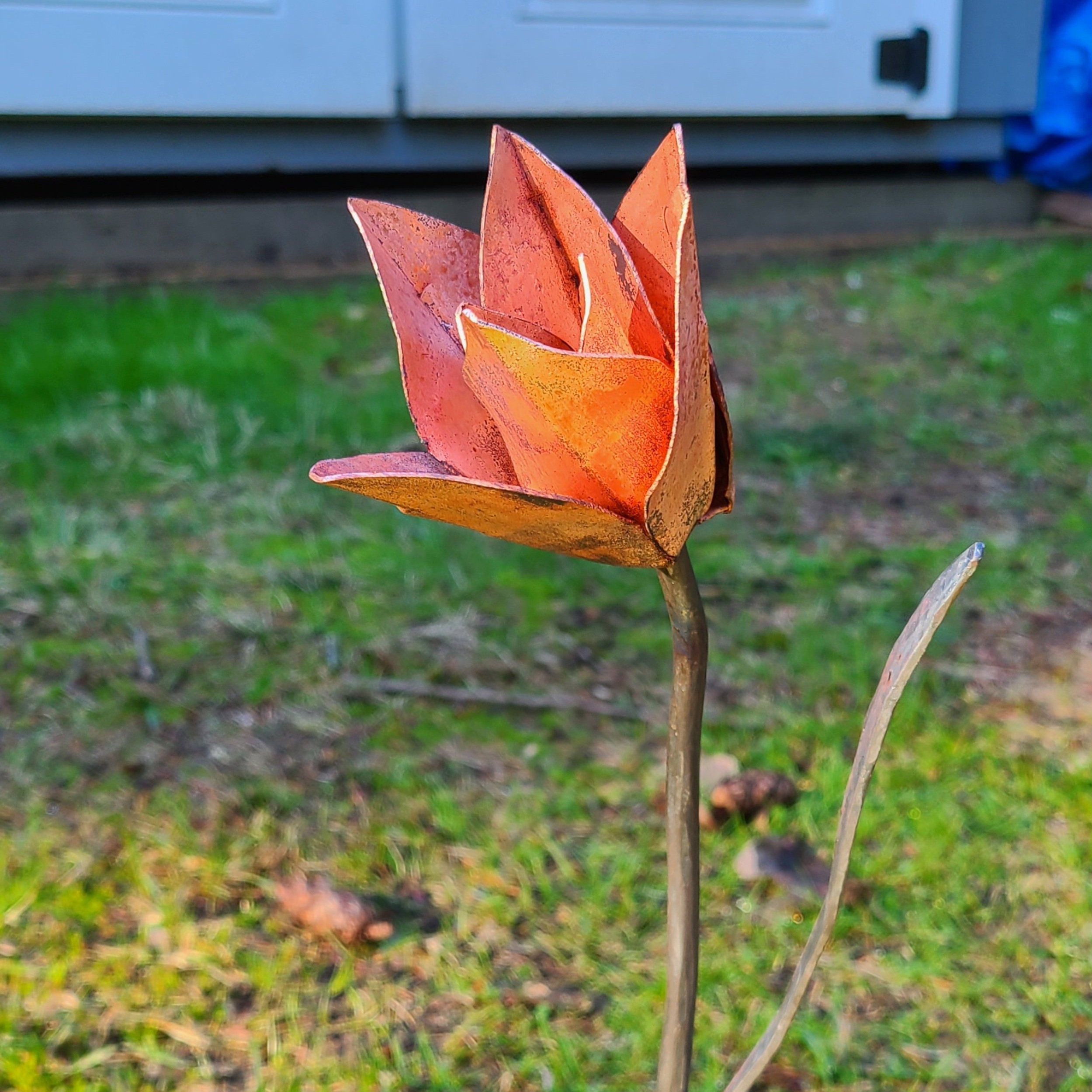 processed_6c80774875cf46a8b2d0ae28dc19e1d6.jpg