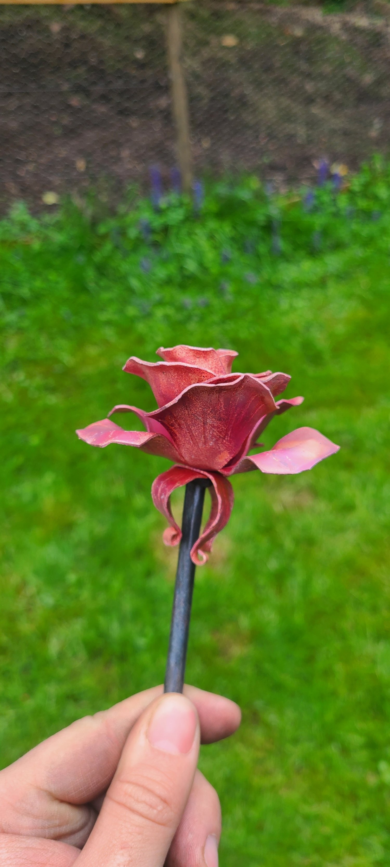 20250429_161639.jpg