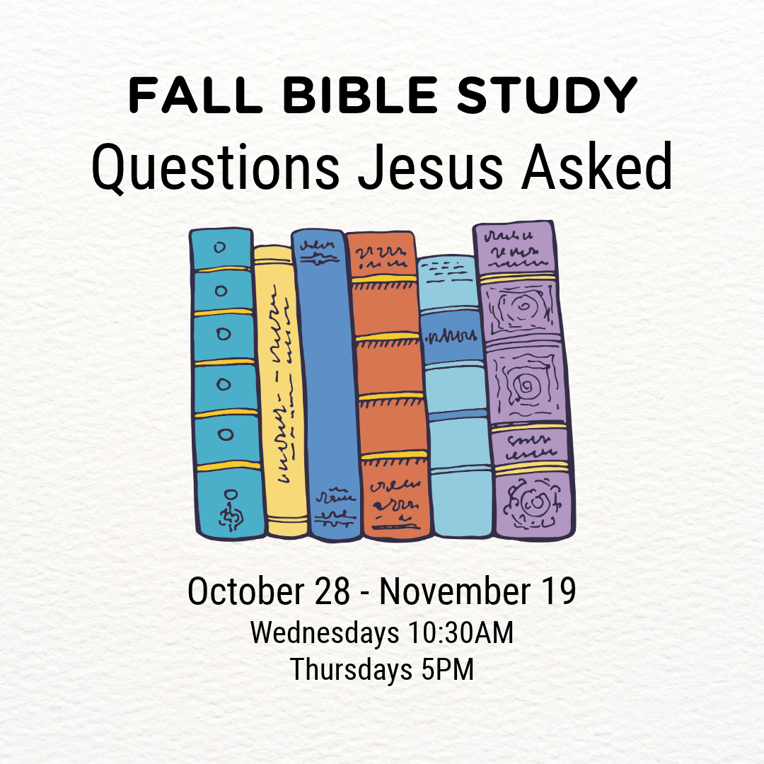 Questions Jesus Asked Study