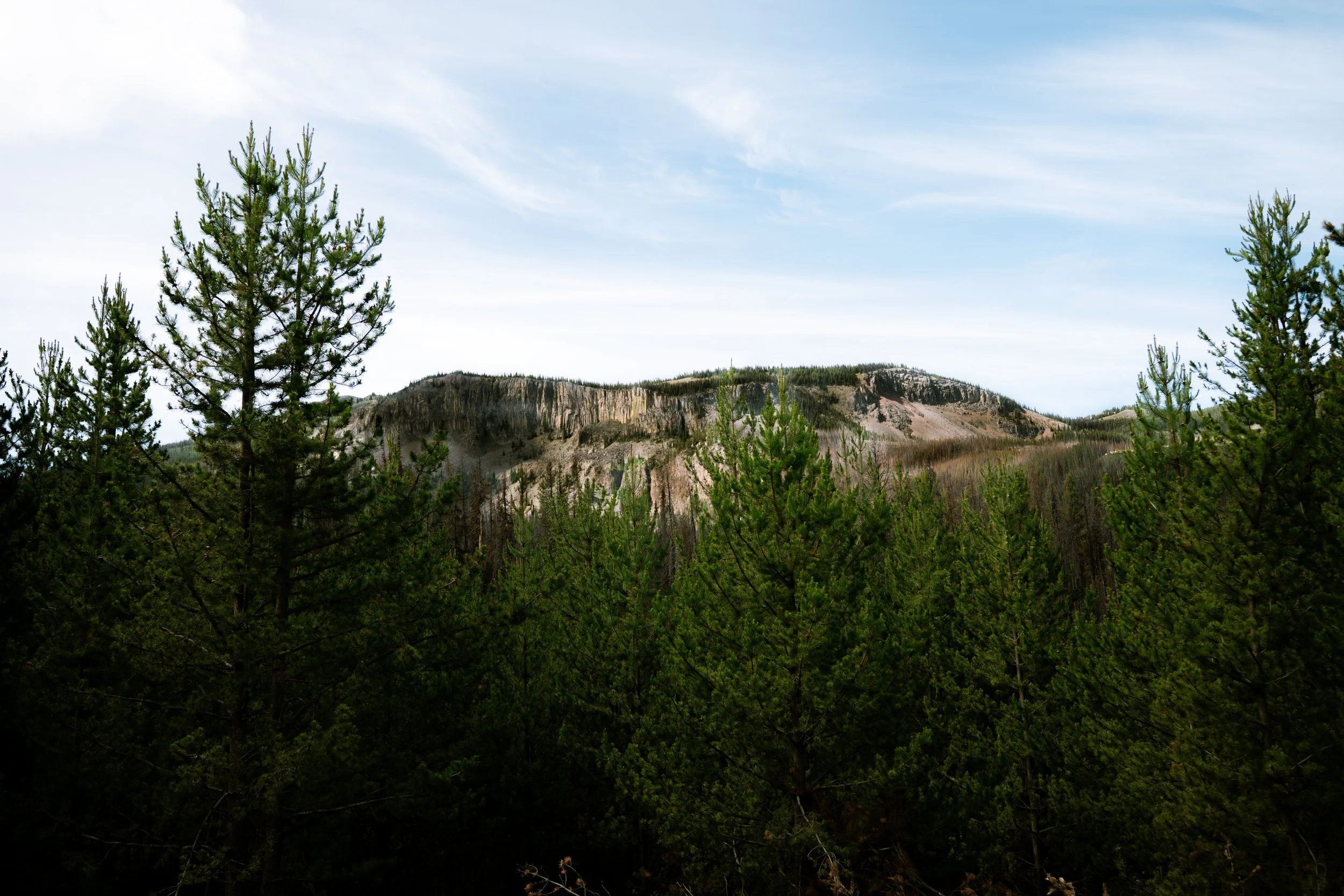 DSC_6875.jpg