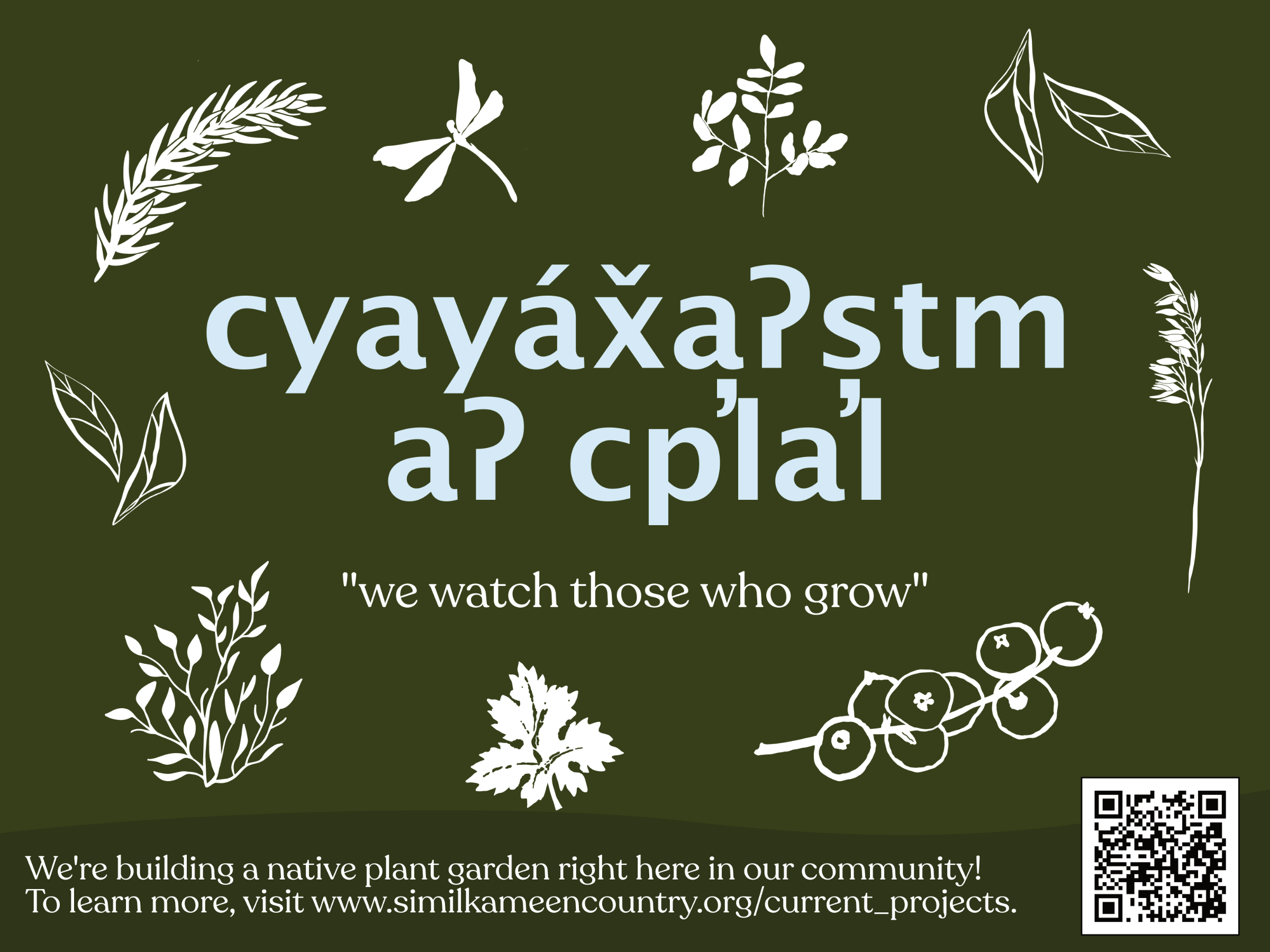 Signage for syilx plant garden, icons hand-drawn by me