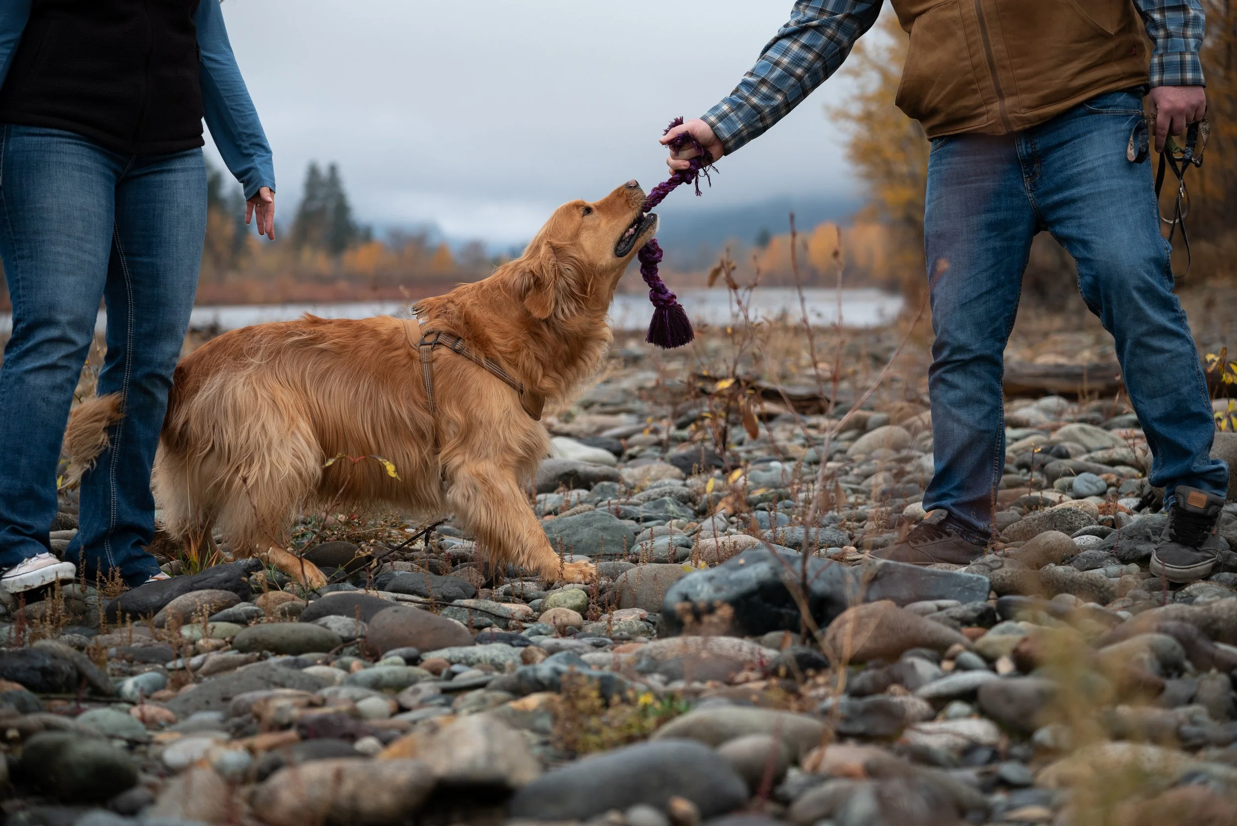 Copy of DSC_5501.jpg