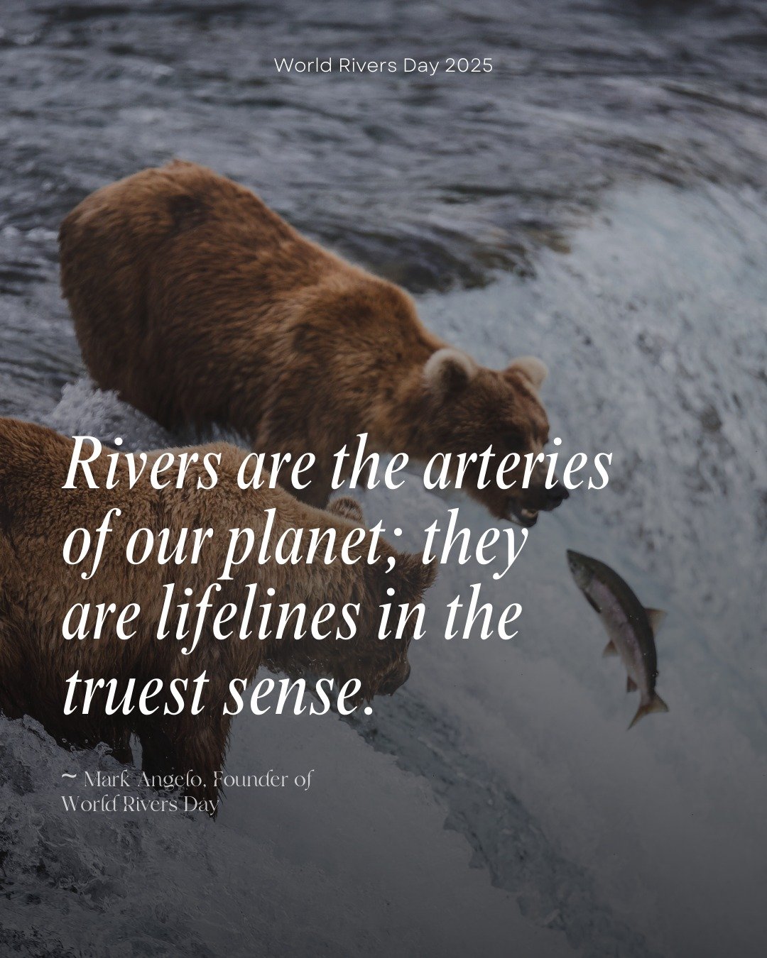 2025 World Rivers Day campaign graphic