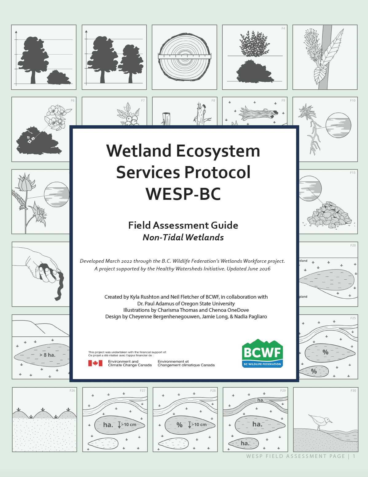 WESP-BC Field Assessment Guide (Editing, Design Assistance)