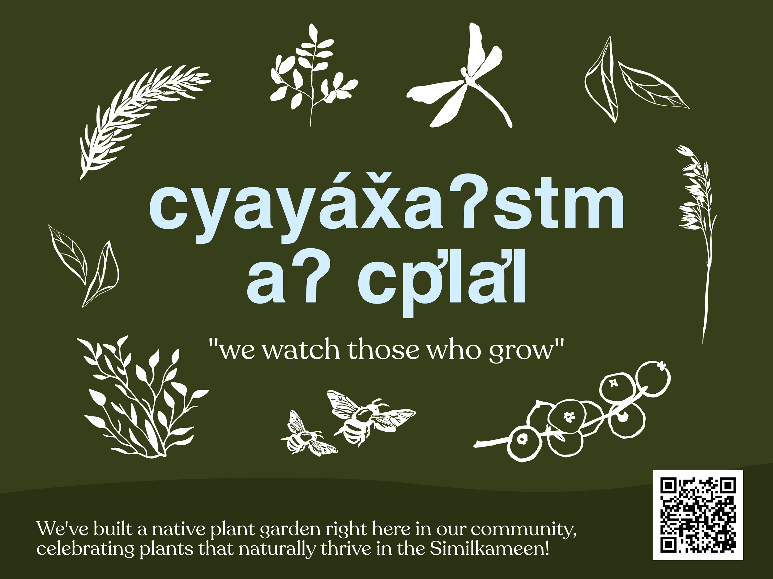 Interpretive signage for an Indigenous plant garden at the Similkameen Recreation Centre