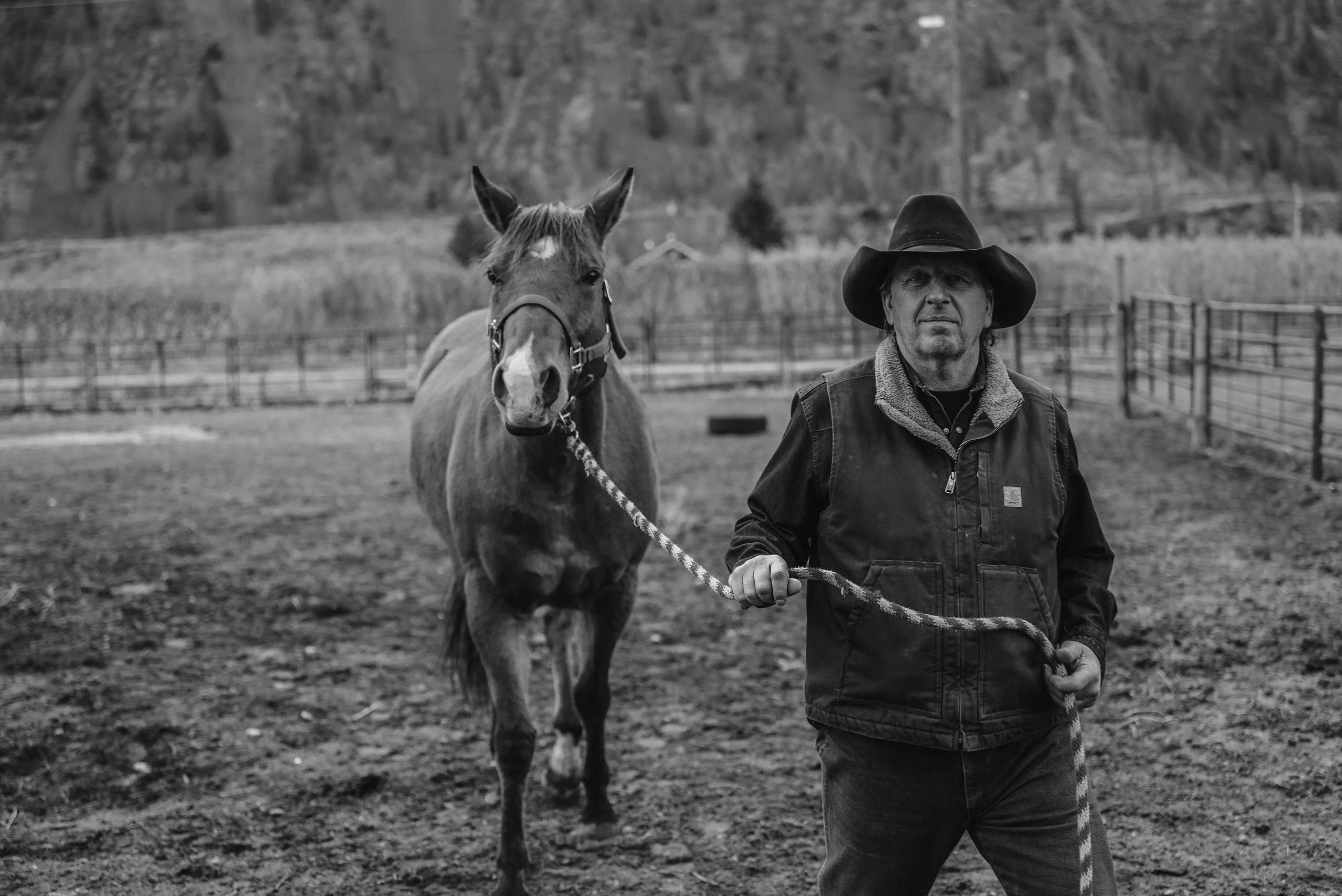 Copy of DSC_5059.jpg