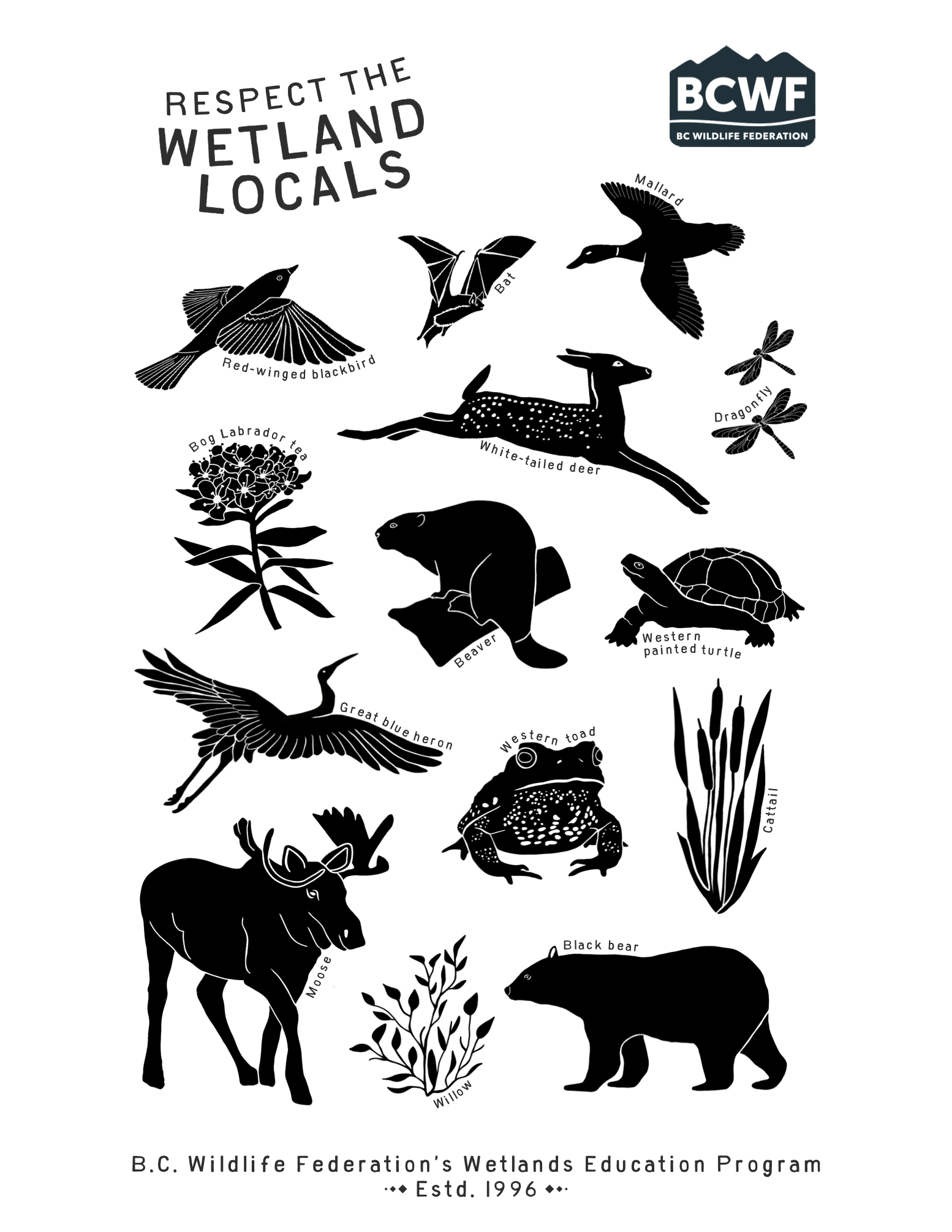 2026 Wetlands Education Program T-Shirt Design, hand-drawn for B.C. Wildlife Federation