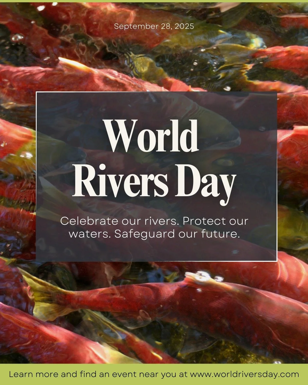 2025 World Rivers Day campaign graphic