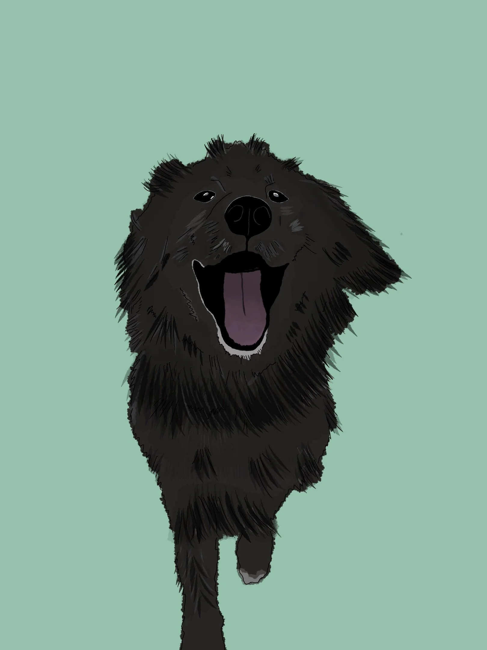 Baloo.jpg