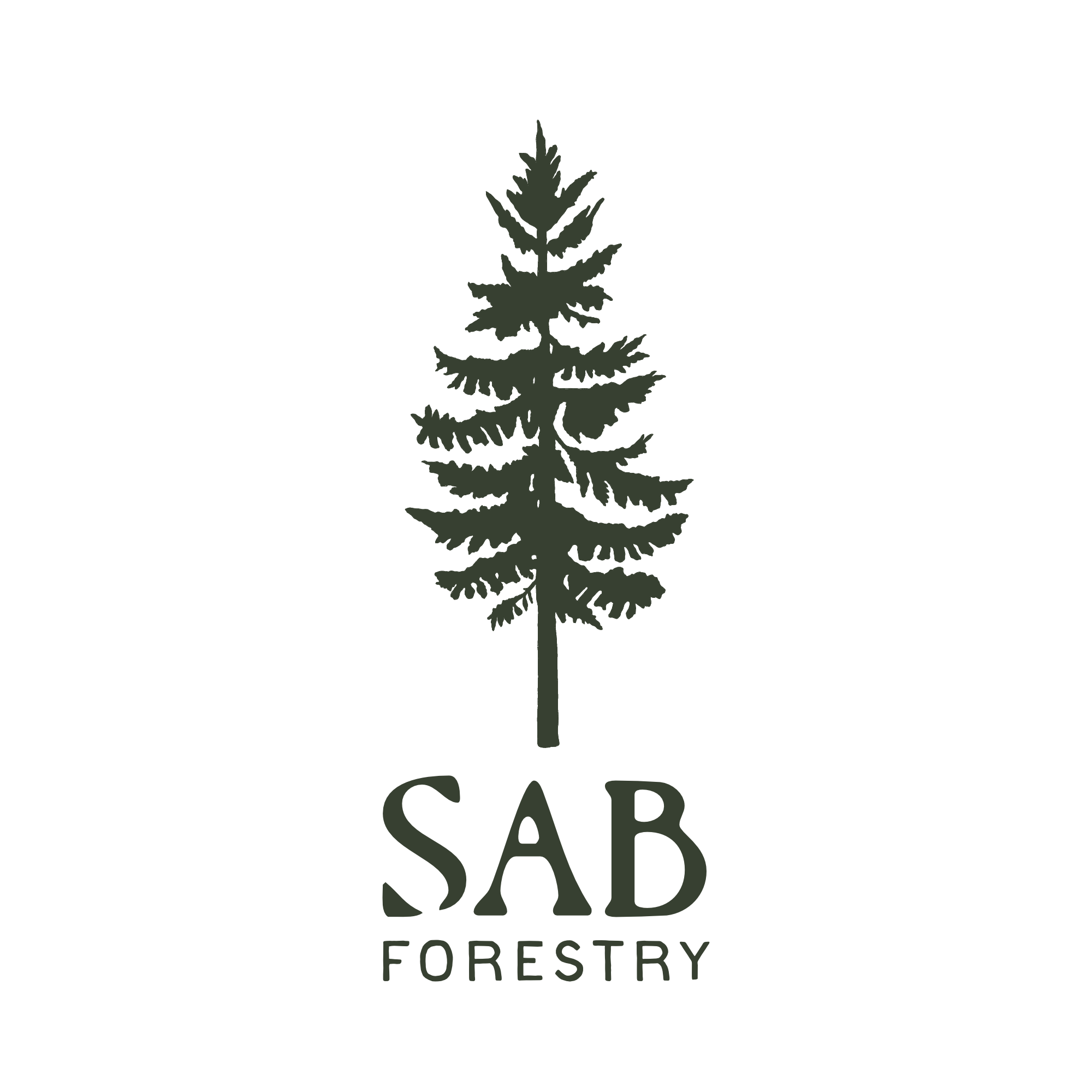 Hand-drawn logo for SAB Forestry