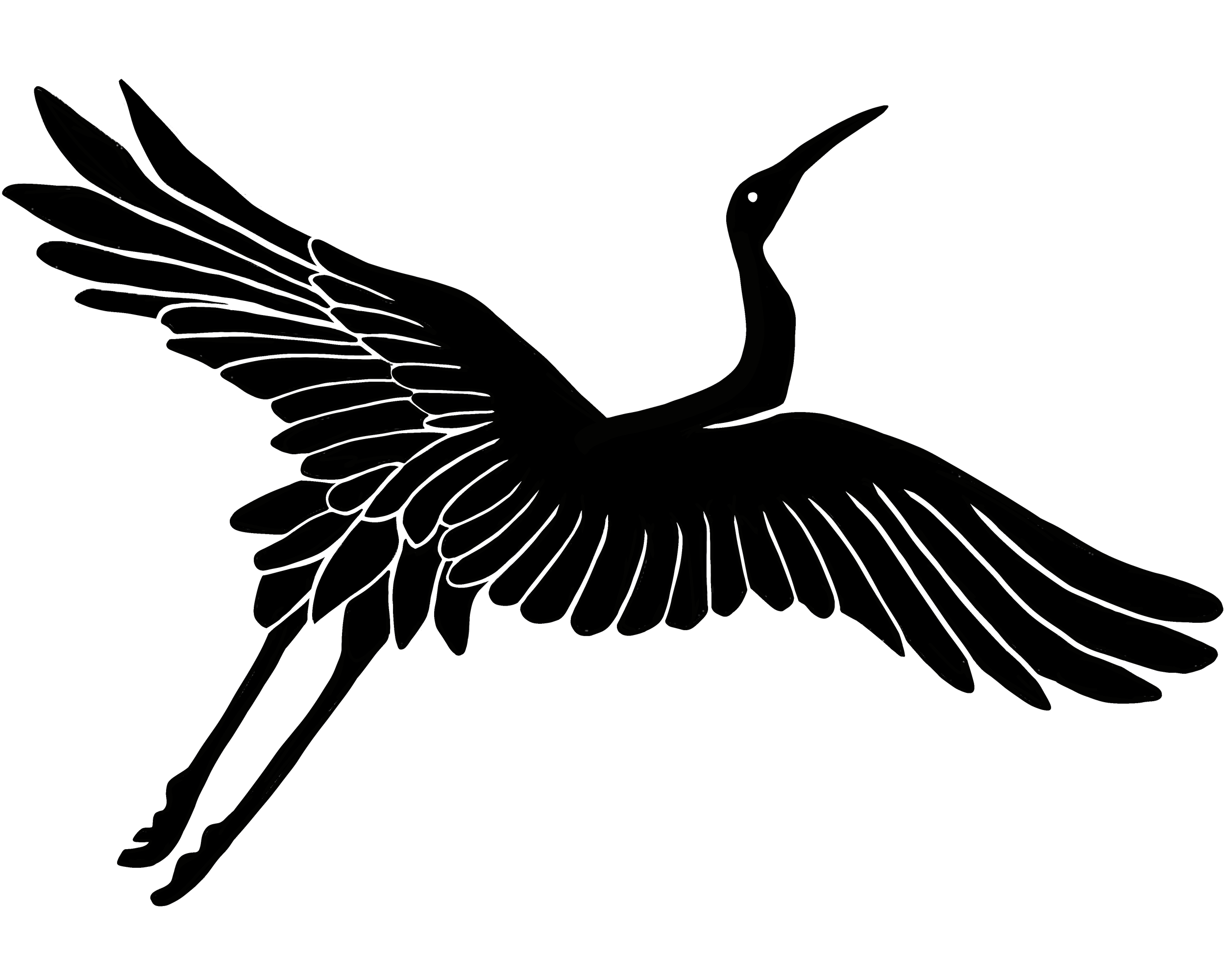 Blue heron, hand-drawn for B.C. Wildlife Federation project