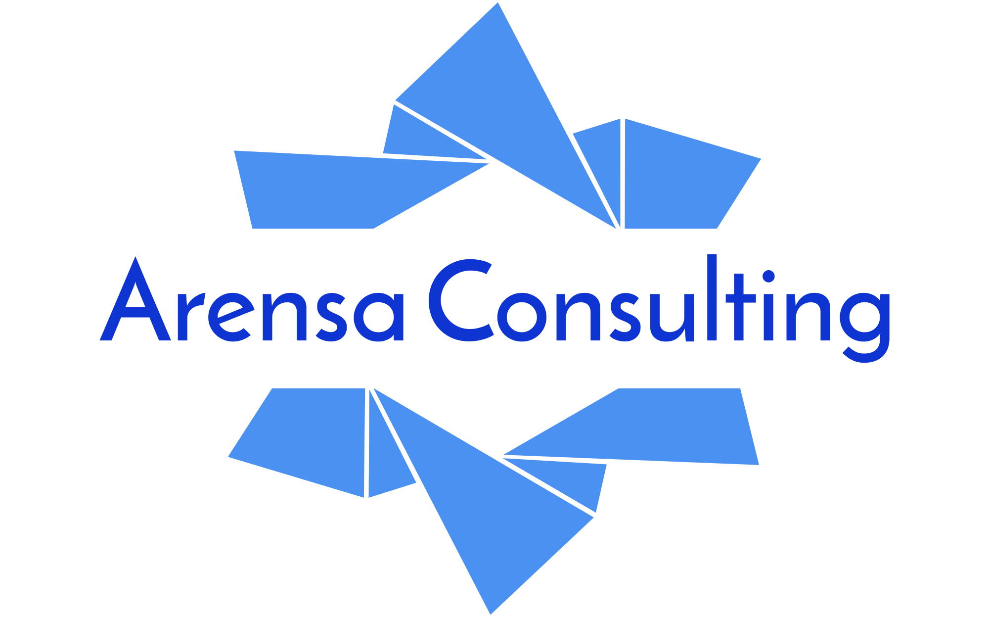 Arensa’s 2025 Recap