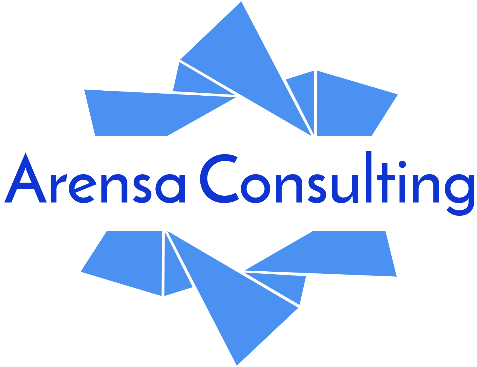 Arensa’s 2025 Recap