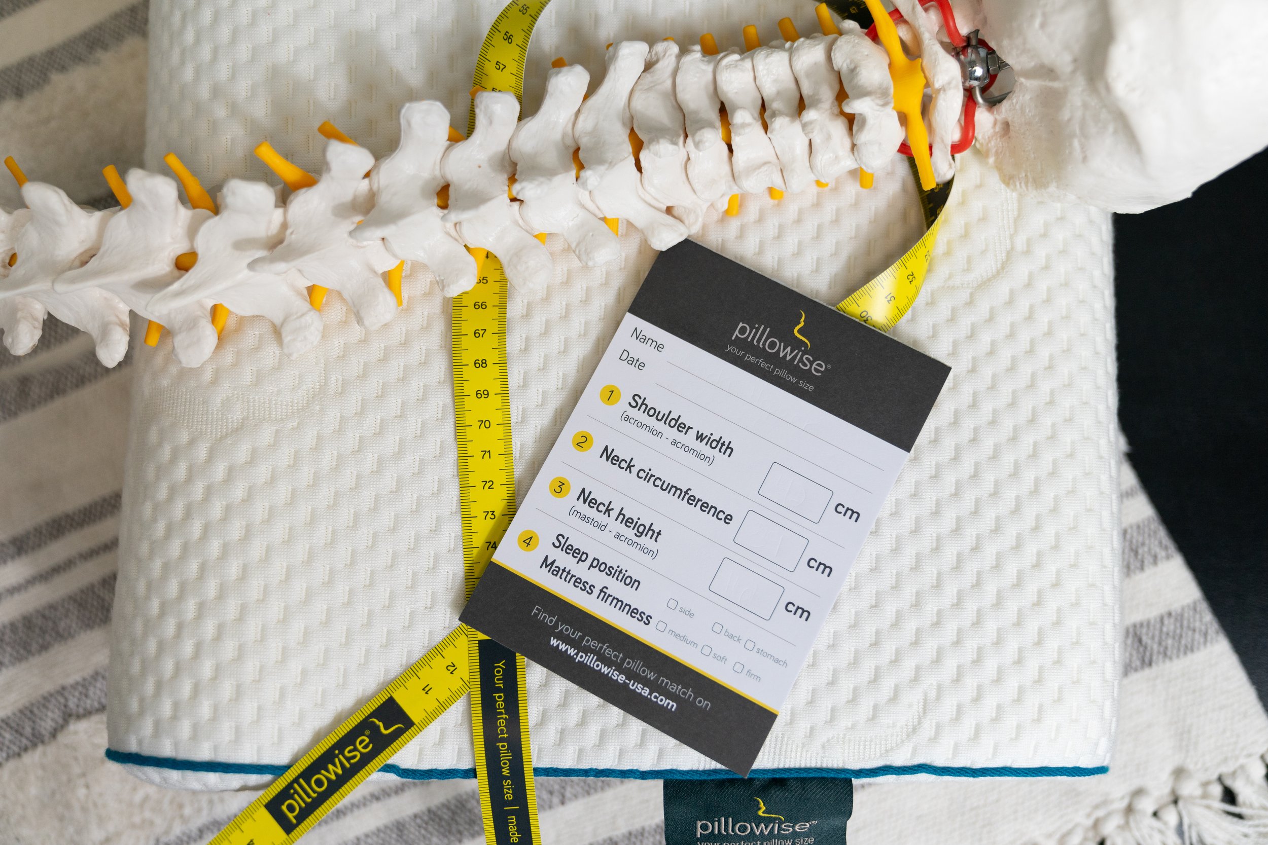 A Pillowise pillow with a spinal structure