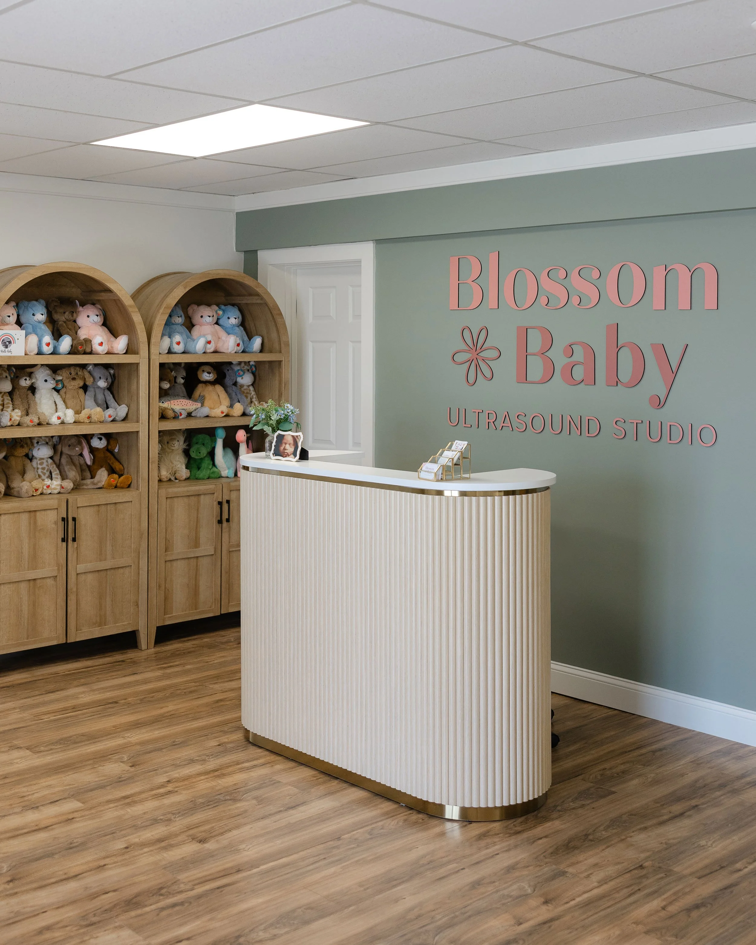 Blossom_Baby_Ultrasound-Cape_Cod_Gallery3.jpg