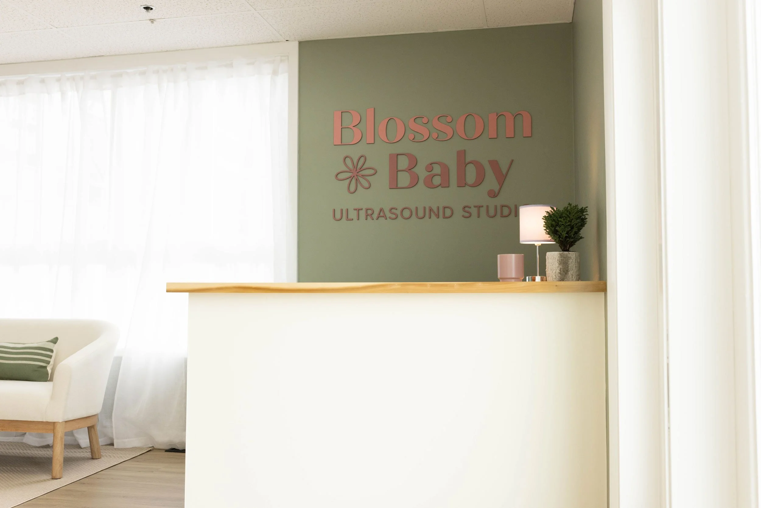 Blossom_Baby_Ultrasound-Plymouth_Cape_Cod_Gallery4.jpg