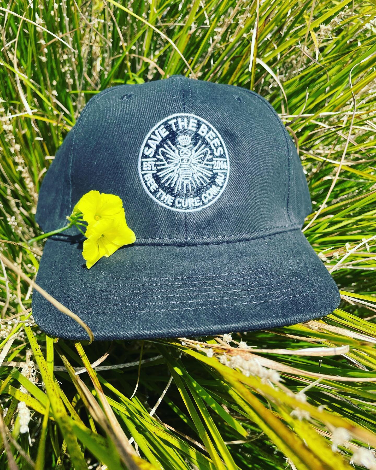 Caps dropped for #savethebees🐝. Still a few embroidery spots left for pre Chrissy delivery. Hit us up in you need headwear. #headwear #caps #embroidery #savethebees🐝 #honey #bees