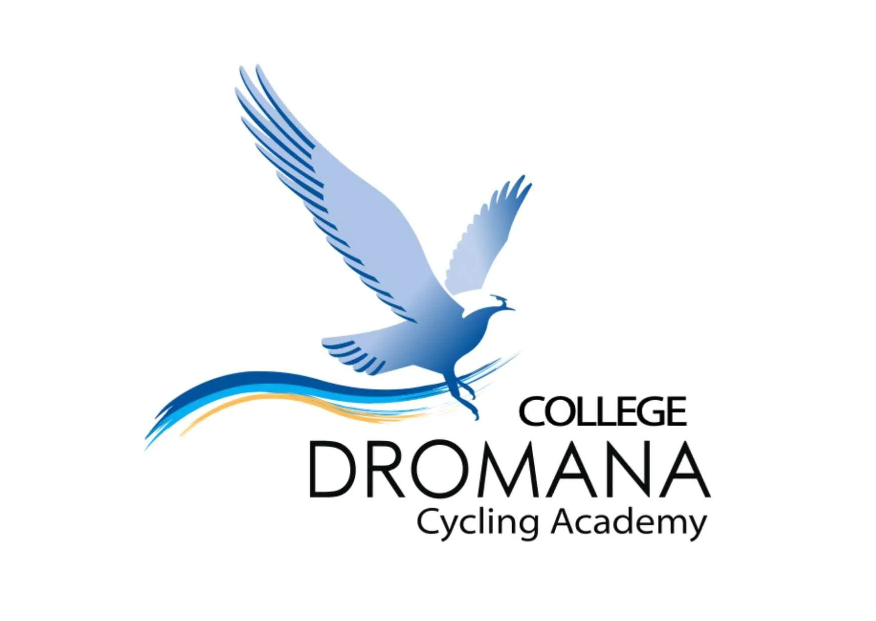 Logo of College Dromana Cycling Academy featuring a stylized blue and white bird in flight above three wavy lines in blue, yellow, and black, with the text 'College Dromana Cycling Academy' underneath.
