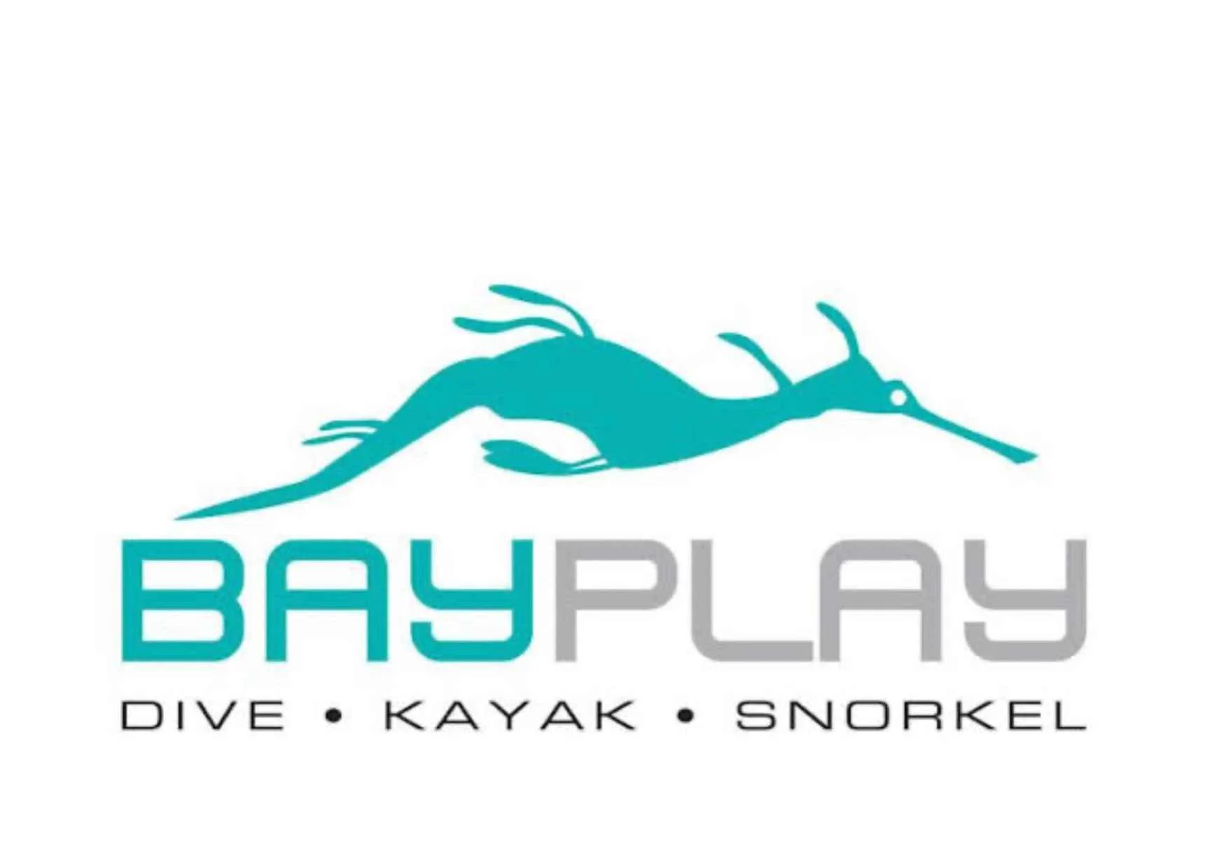 Logo for Bay Play featuring a stylized teal-colored fish with a long nose, and text indicating activities like dive, kayak, and snorkel in black and gray.
