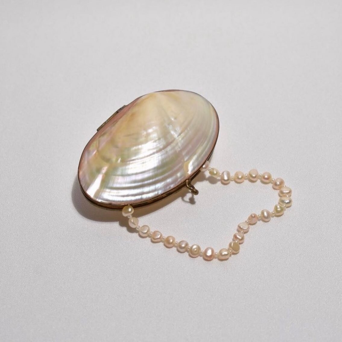 When seashells meet style, magic happens🦪✨