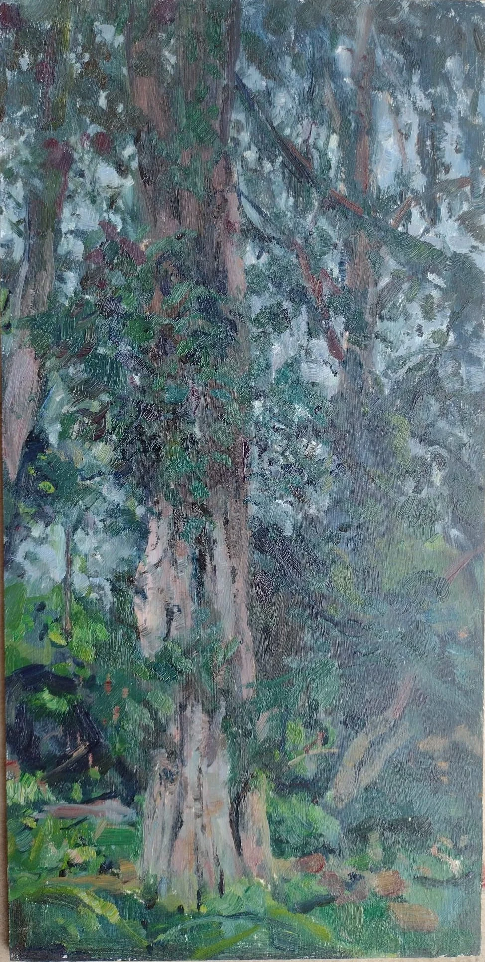 Yew Tree , West Dean - Oil on Board 14 x 7" £620