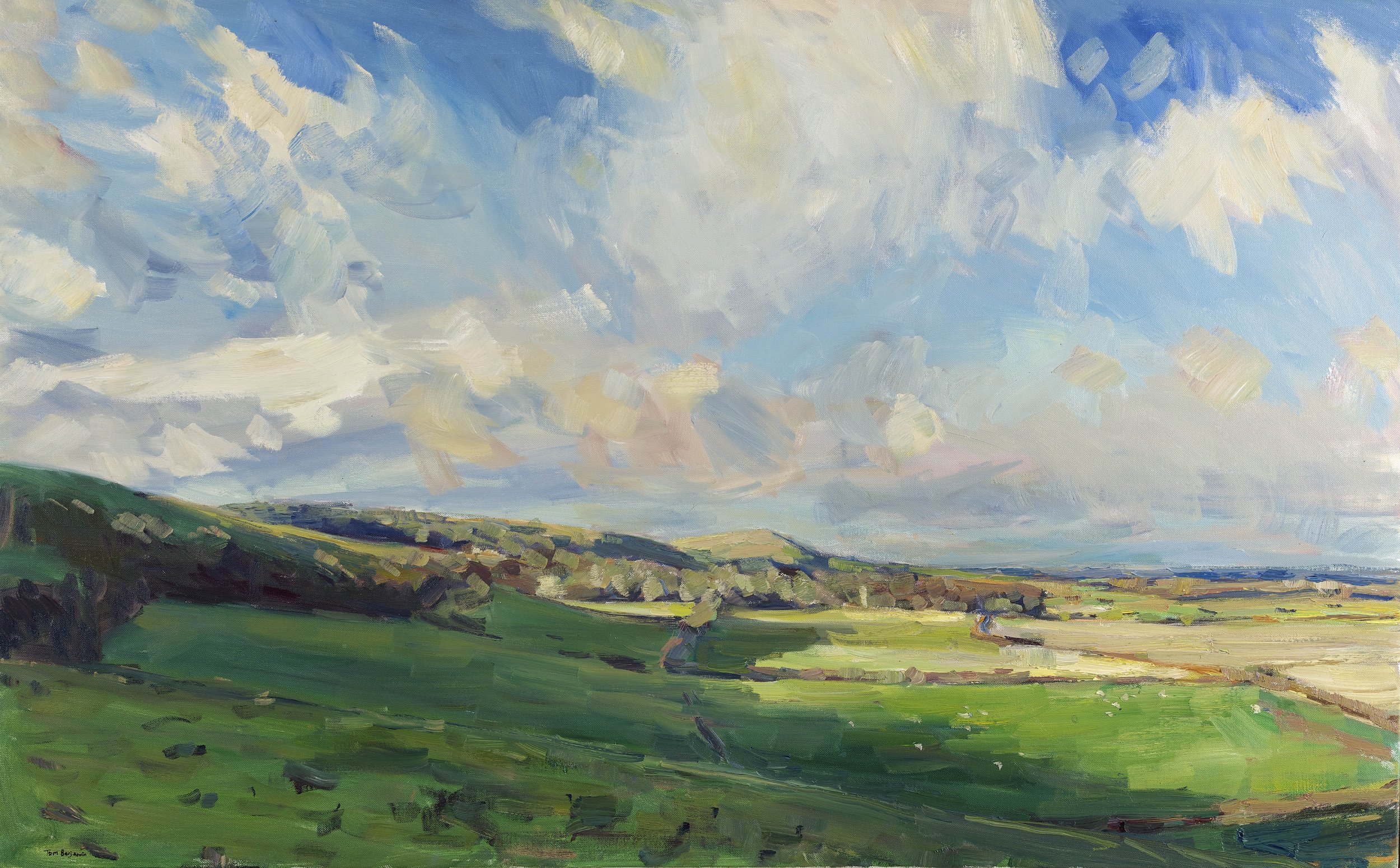 2 Tom Benjamin Cloud Shadow Ditchling Beacon Oil on Canvas 30 x 48in.jpg