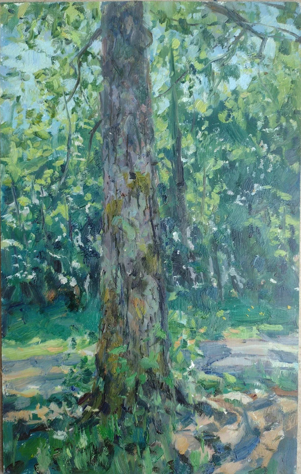 Poplar Tree, Burgandy -  16 x 10" £780