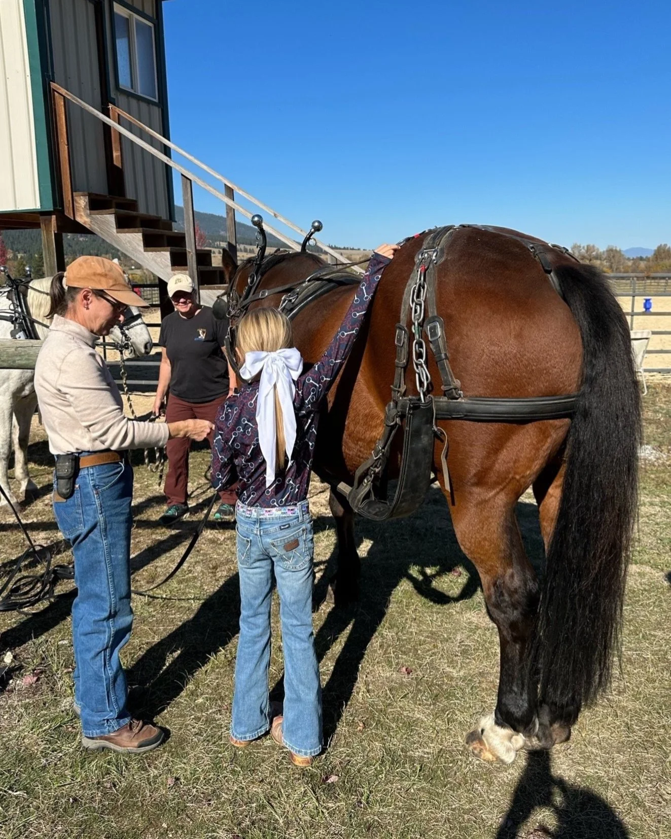 4H / Junior Driver Lessons, Billings, MT
