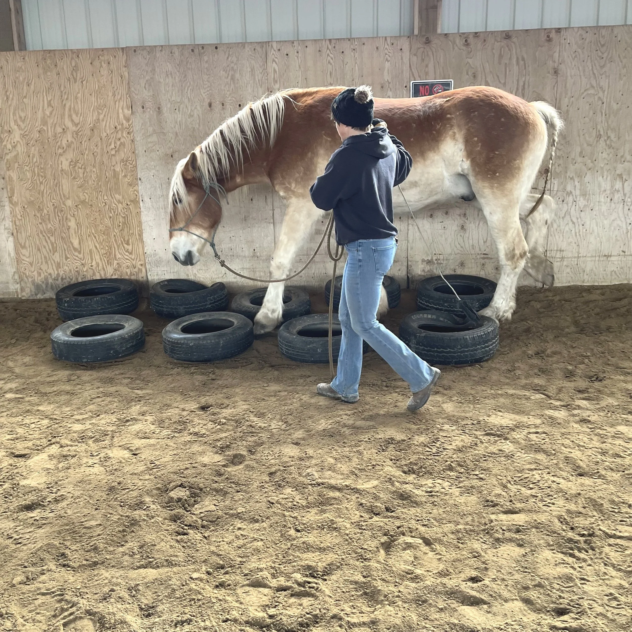 All Day Groundwork Class