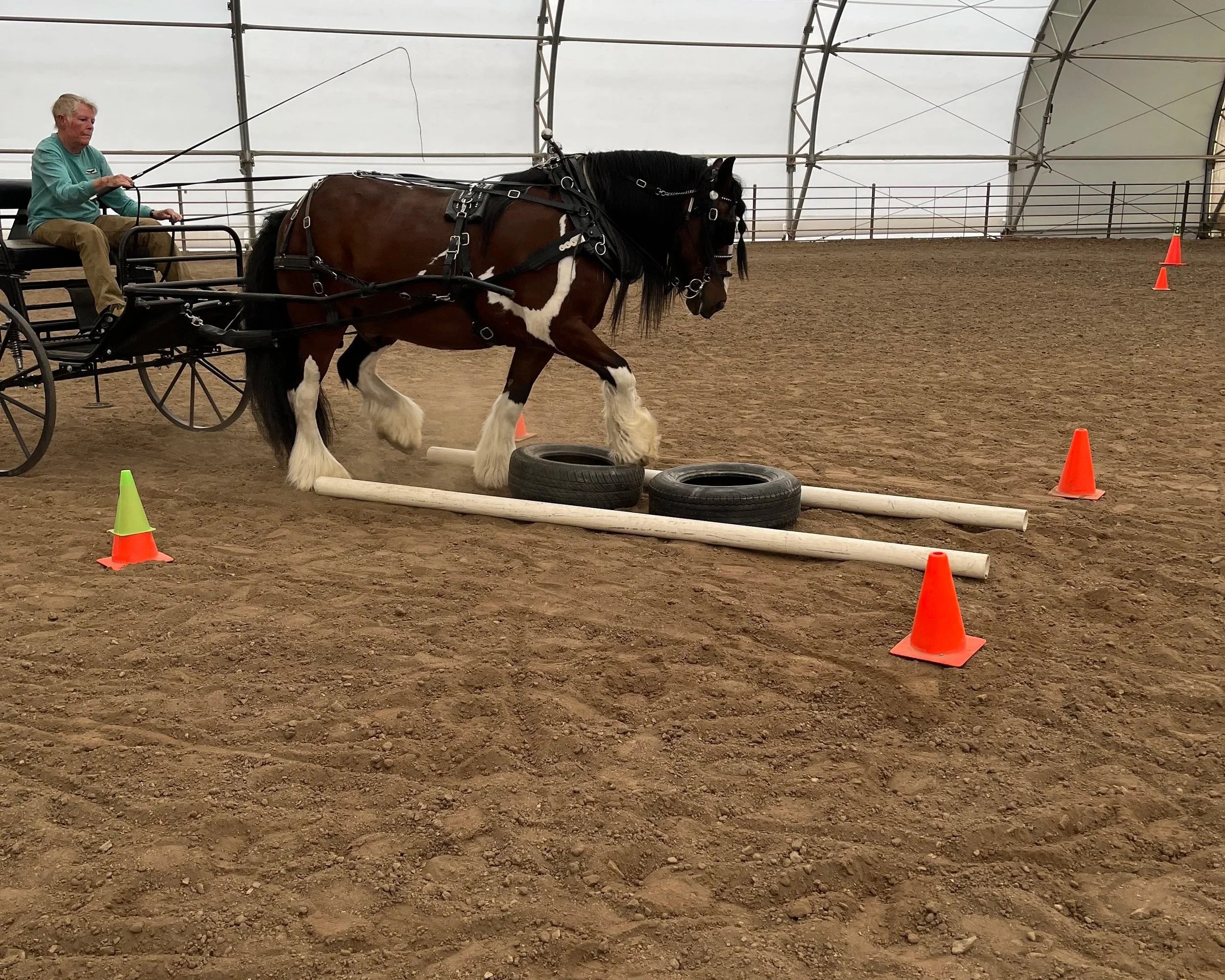 Spring Tune Up Driving Clinic