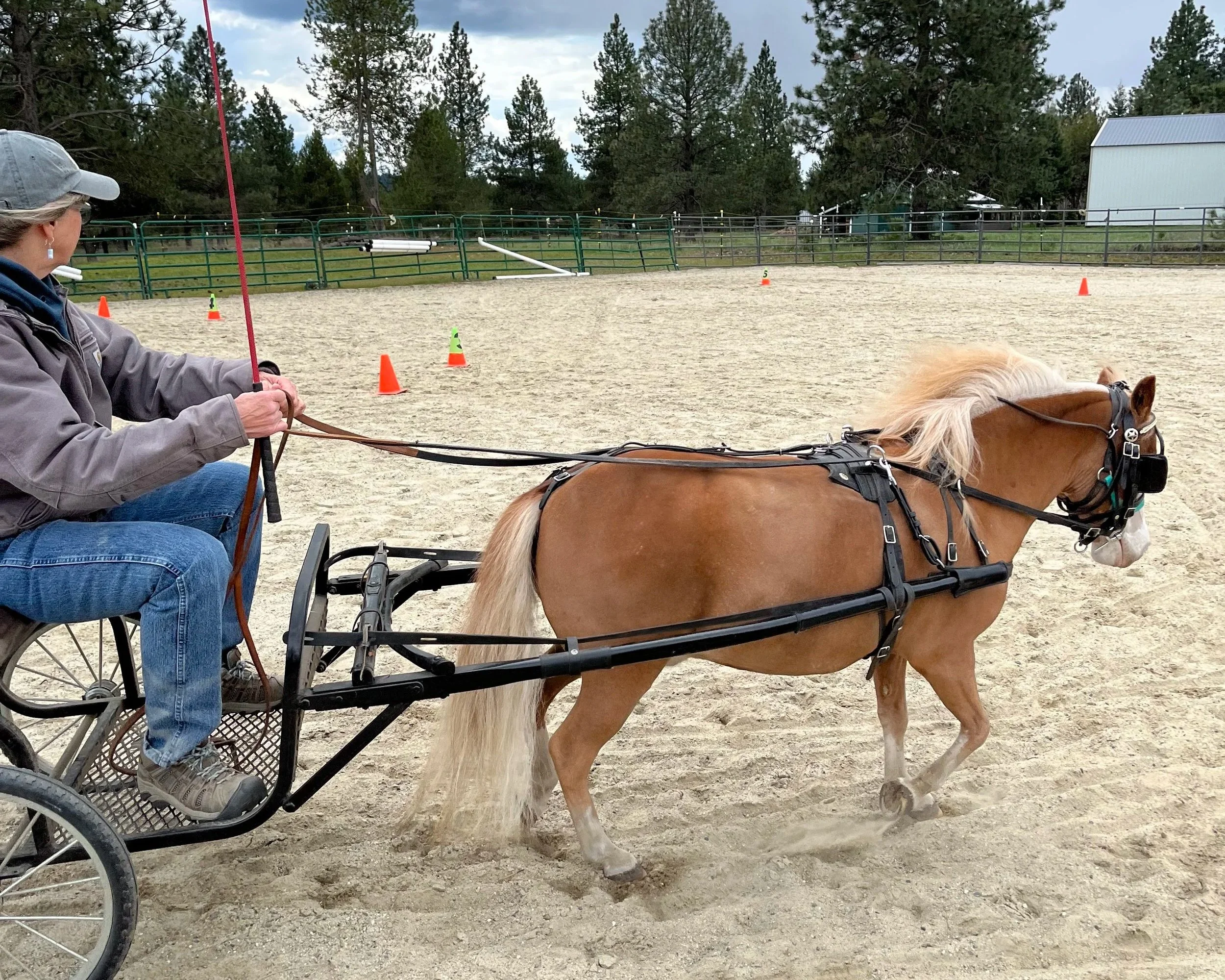 Salmon, ID Driving Clinic