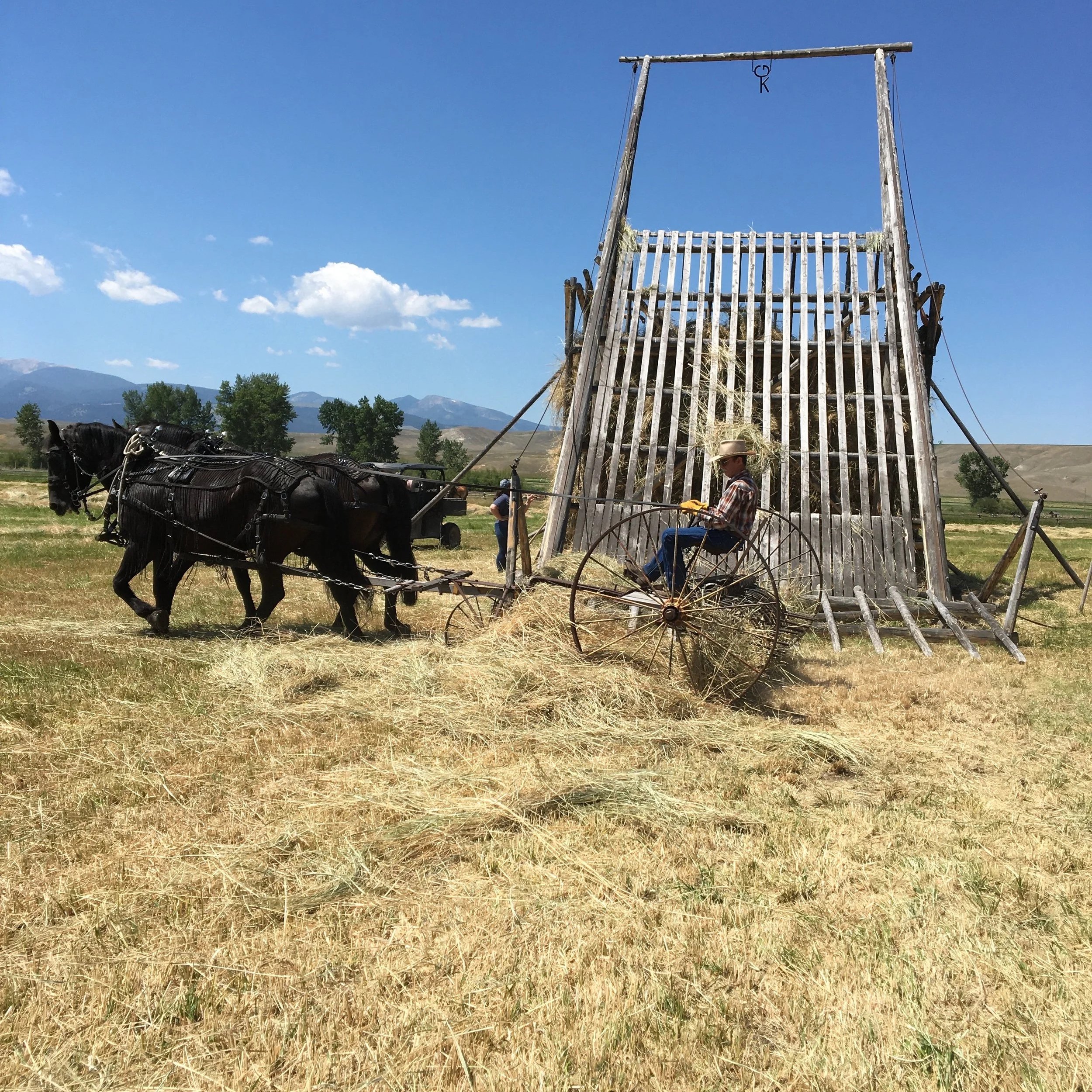 Loose Haying Demonstration at Grant Kohrs Ranch (Copy) (Copy)