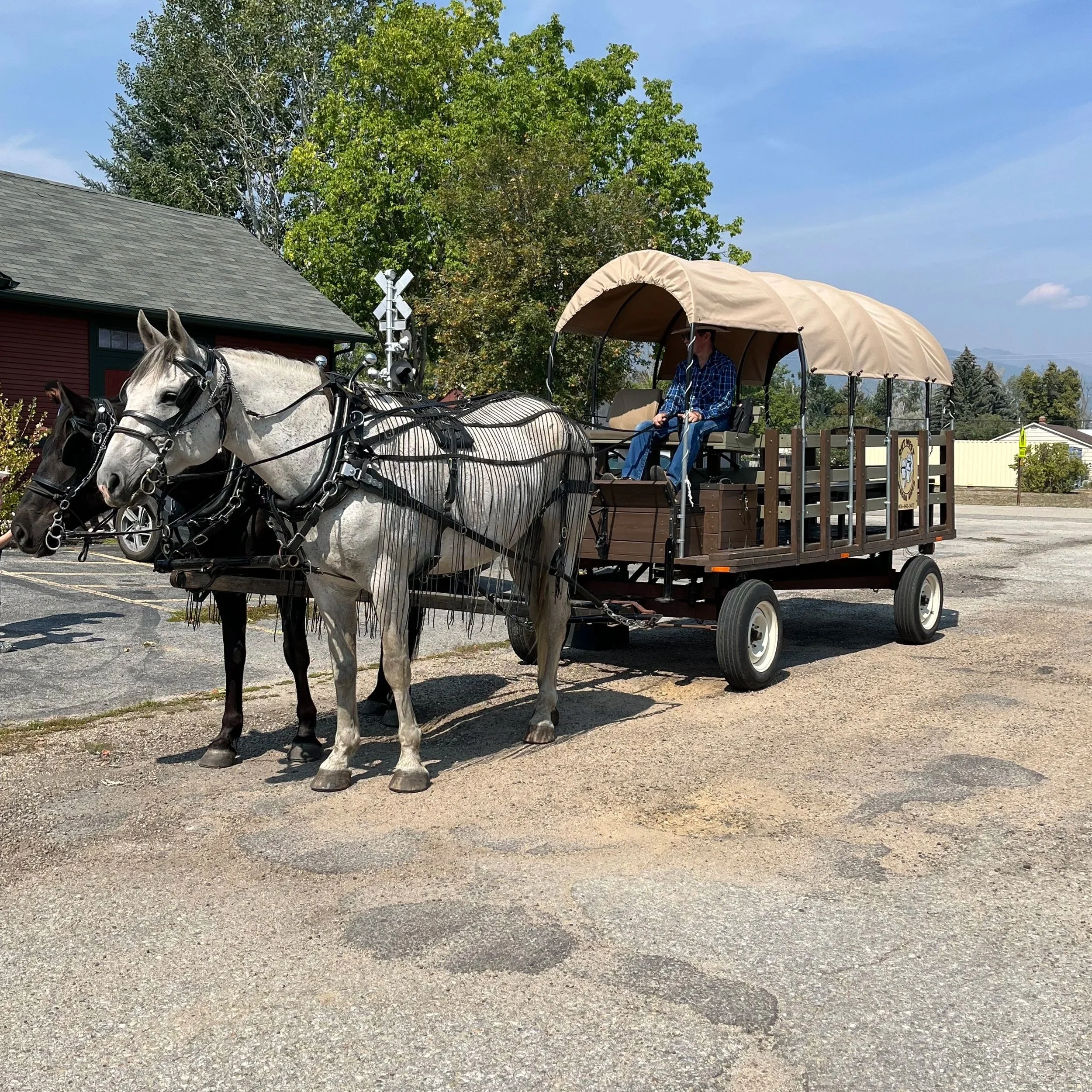Ice Cream Social Wagon Rides in Victor, MT