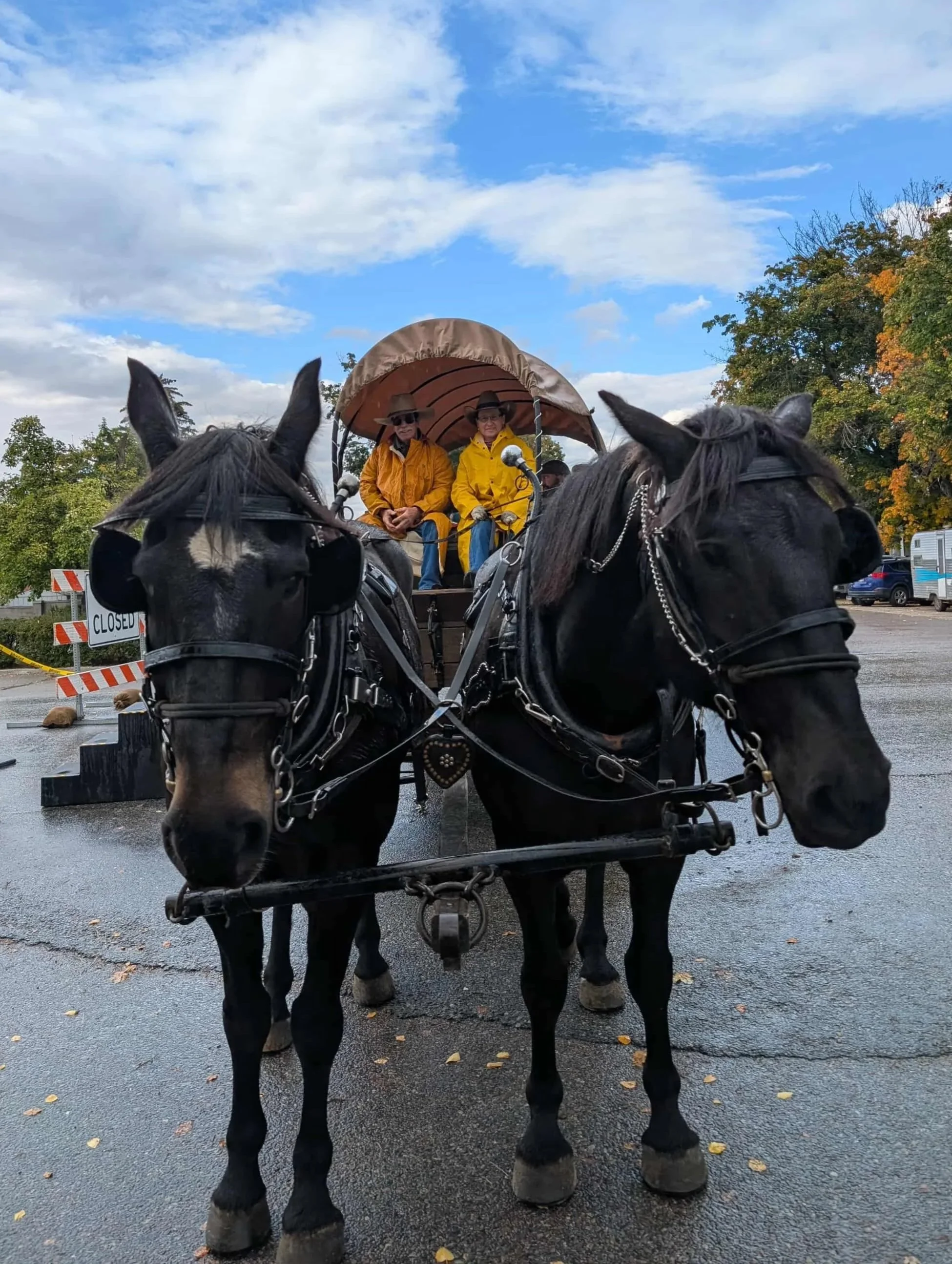 Scarecrow Festival Wagon Rides