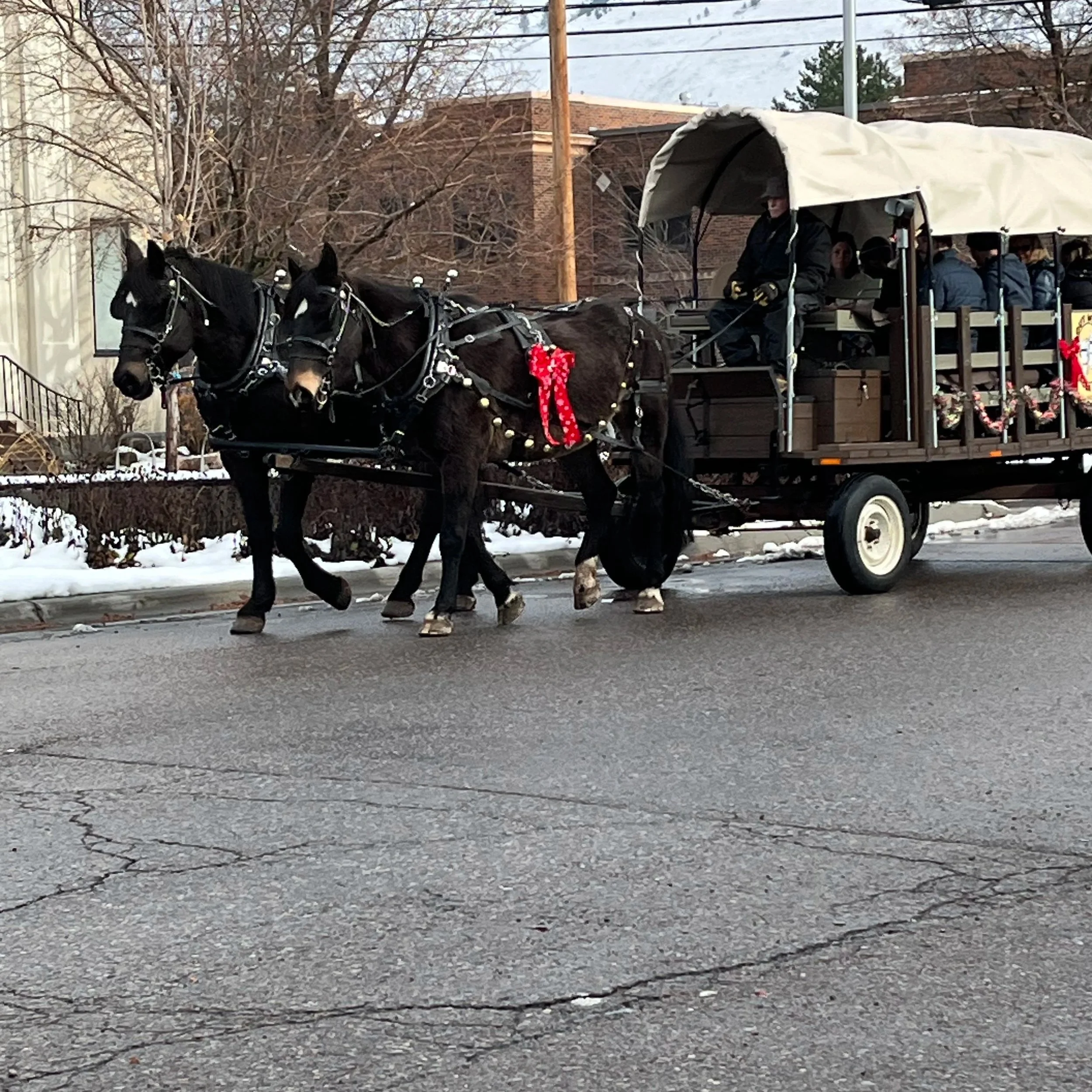 Free Wagon Rides Downtown Missoula, MT