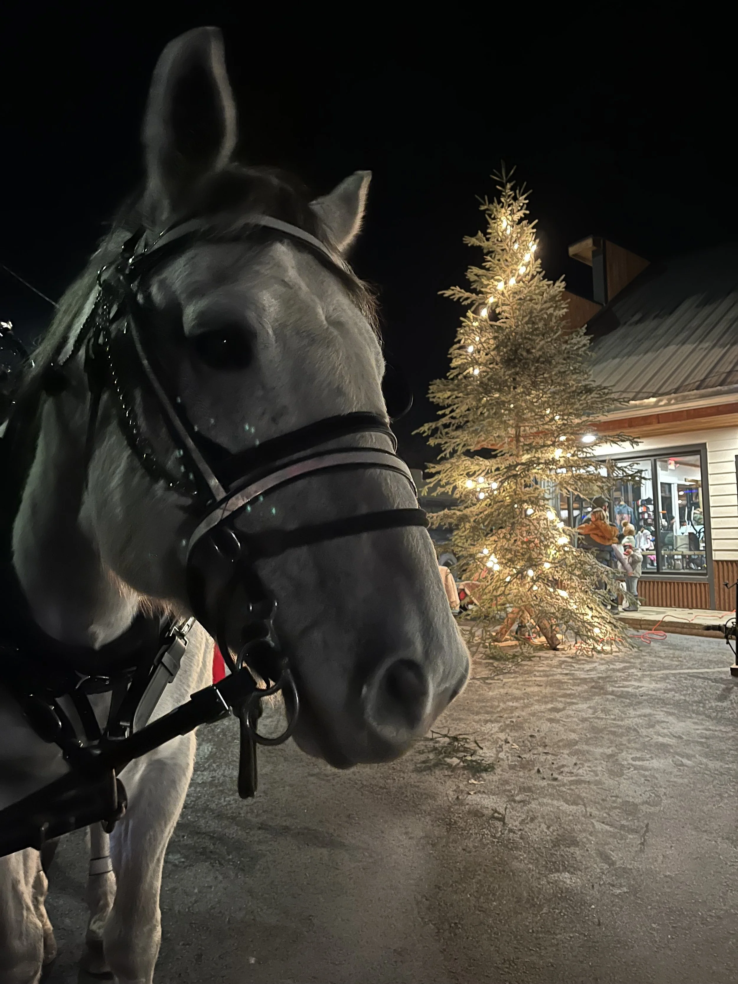 Country Christmas in Stevensville, MT
