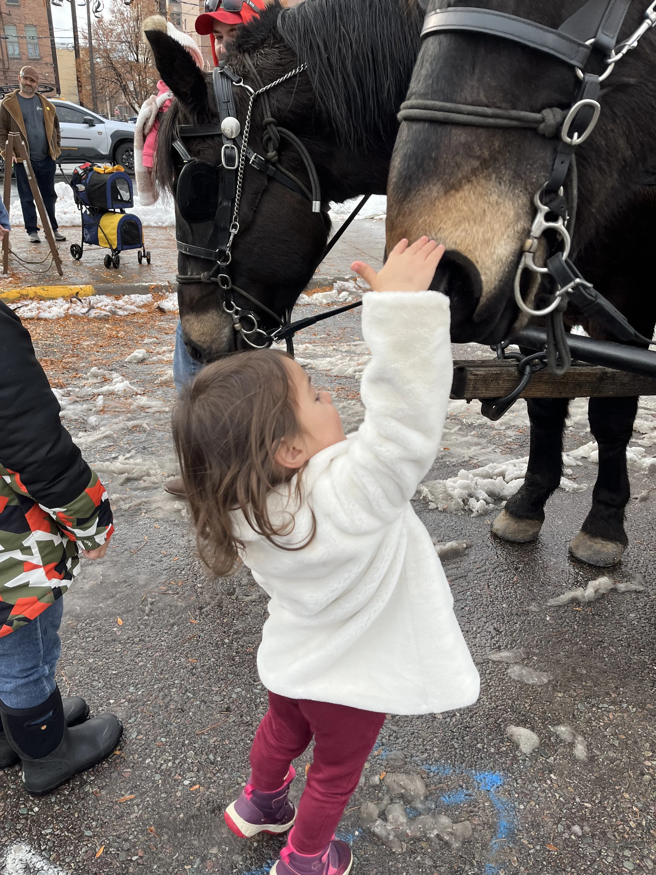 Free Wagon Rides Downtown Missoula, MT (Copy)