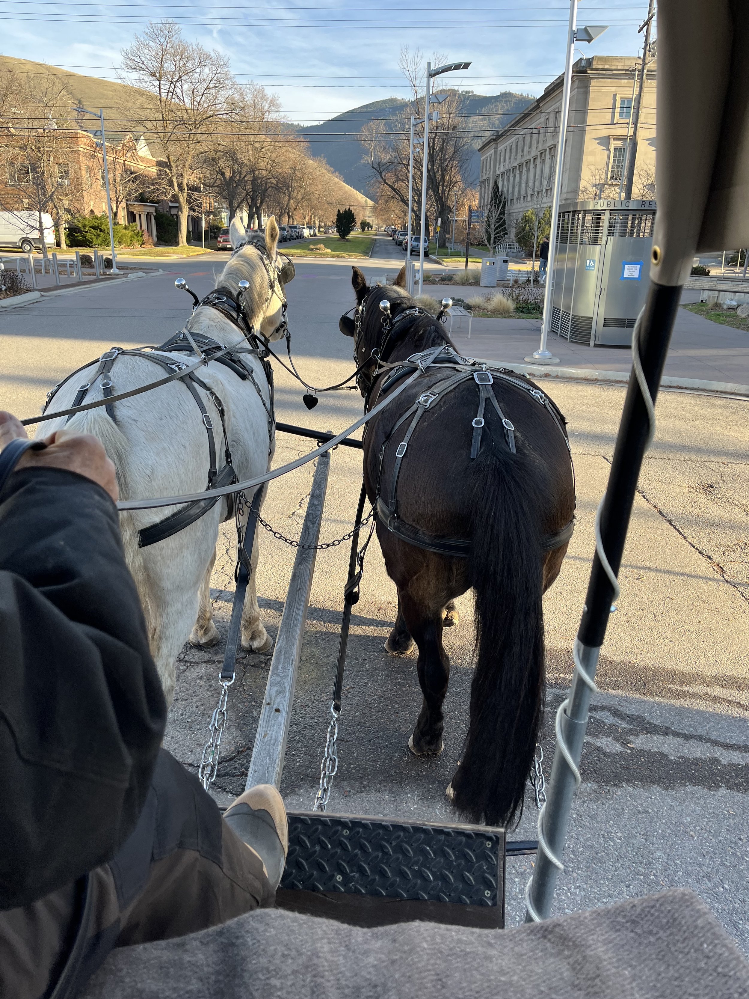 Free Wagon Rides Downtown Missoula, MT (Copy) (Copy)
