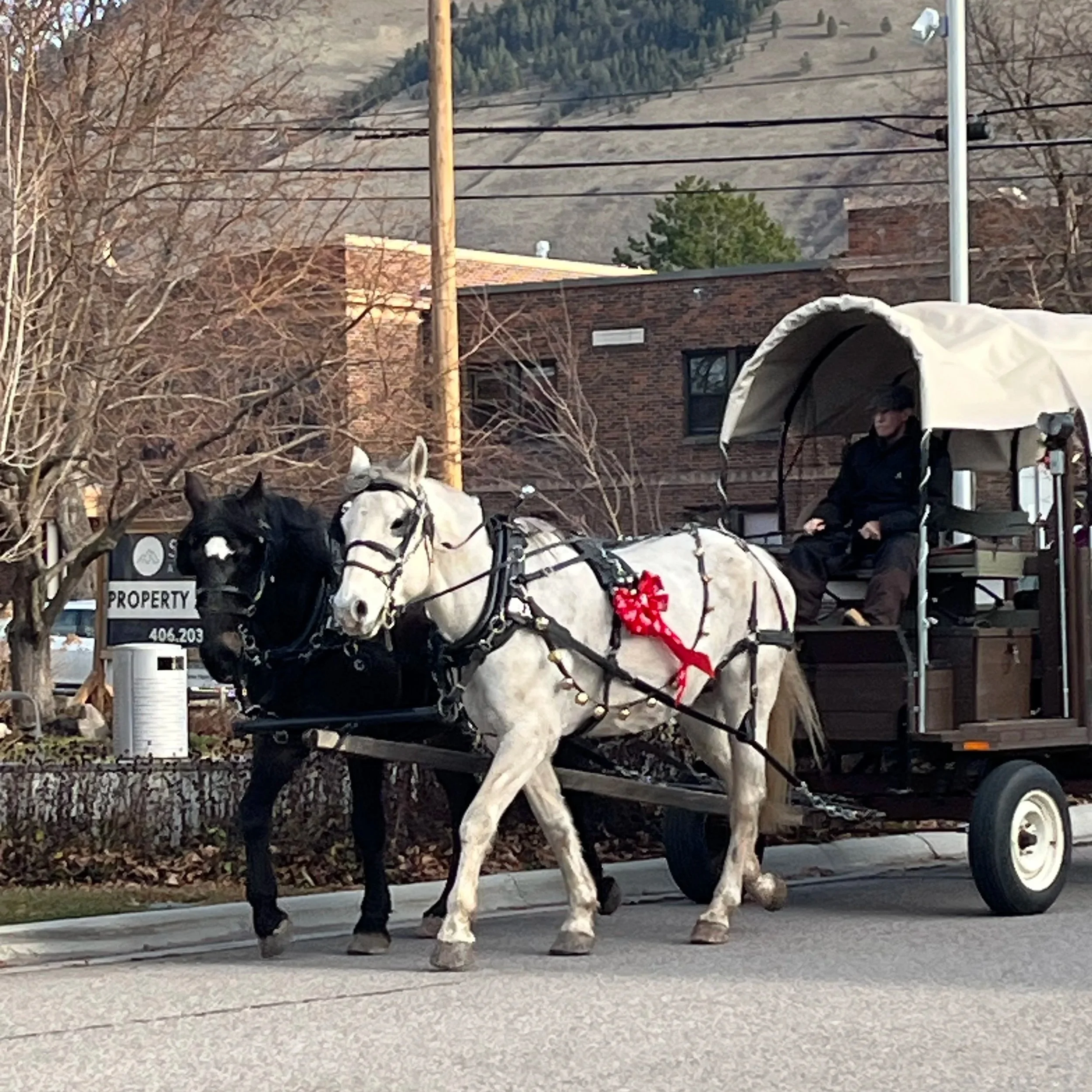Free Wagon Rides Downtown Missoula, MT (Copy) (Copy) (Copy) (Copy)