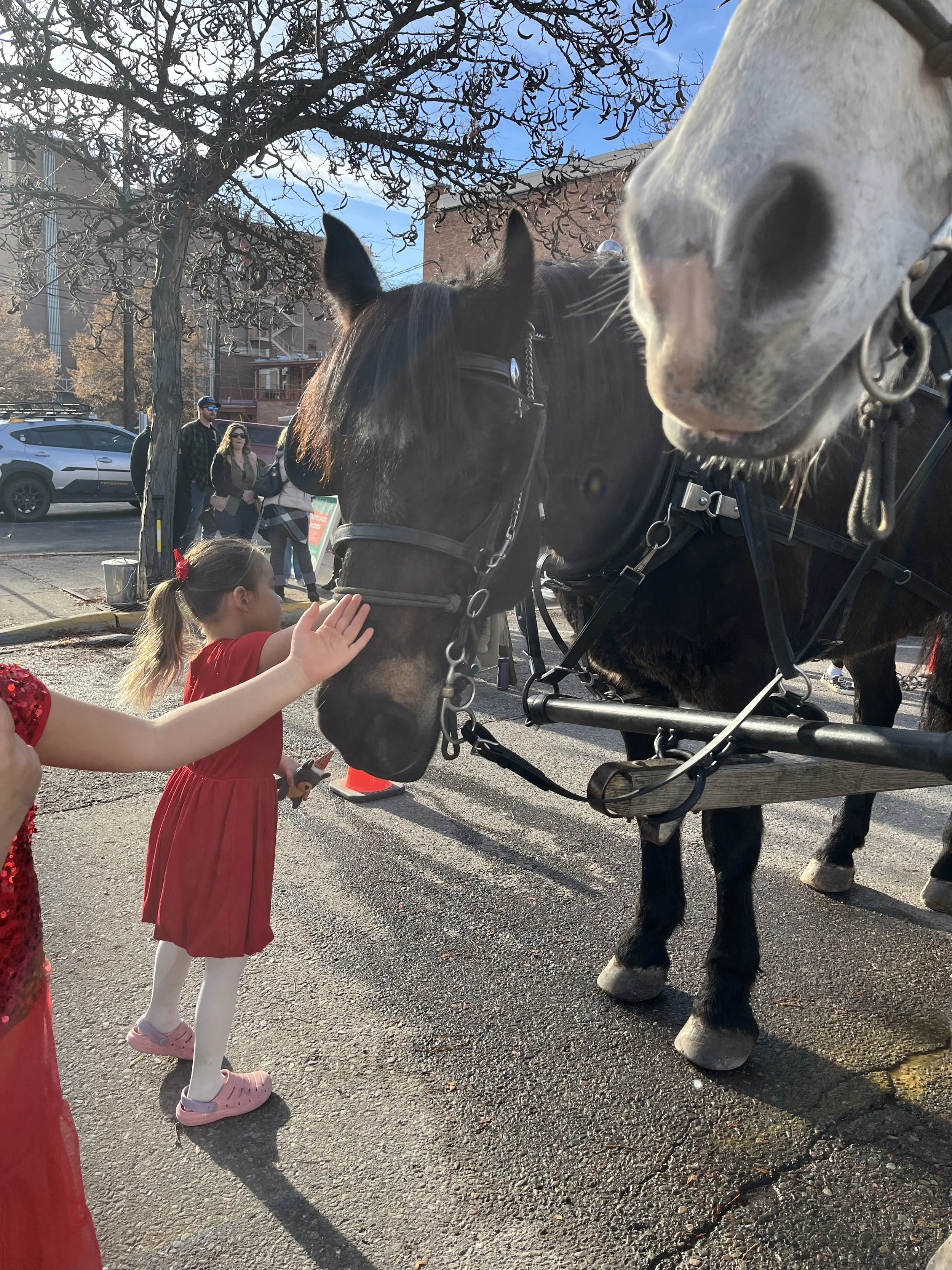Free Wagon Rides Downtown Missoula, MT (Copy) (Copy) (Copy) (Copy) (Copy)